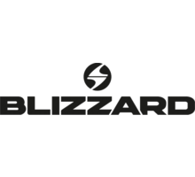 Logo Blizzard