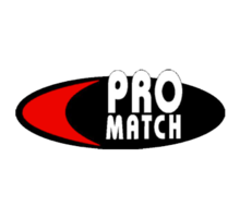 Logo Pro match