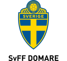 Logo SVFF Domare