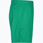 förhandsvisning ikon 4 för Craft Squad Jr Solid Shorts Grön