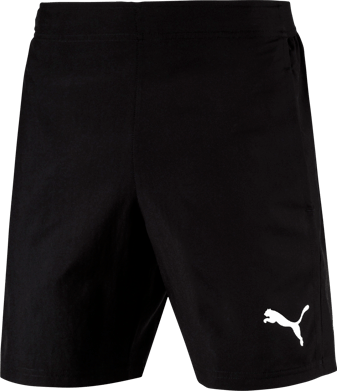 Puma LIGA Sideline Woven Shorts