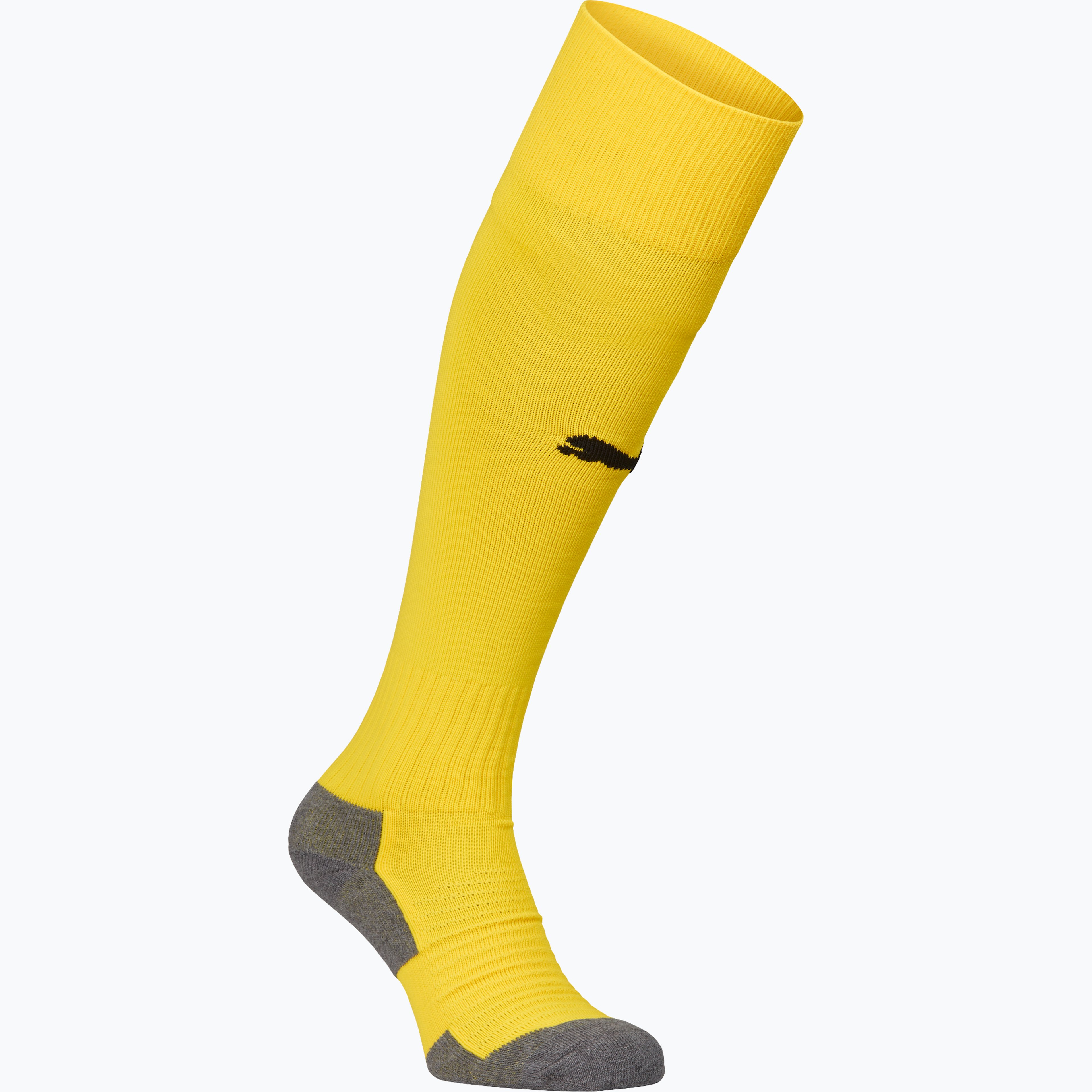 LIGA Socks Core