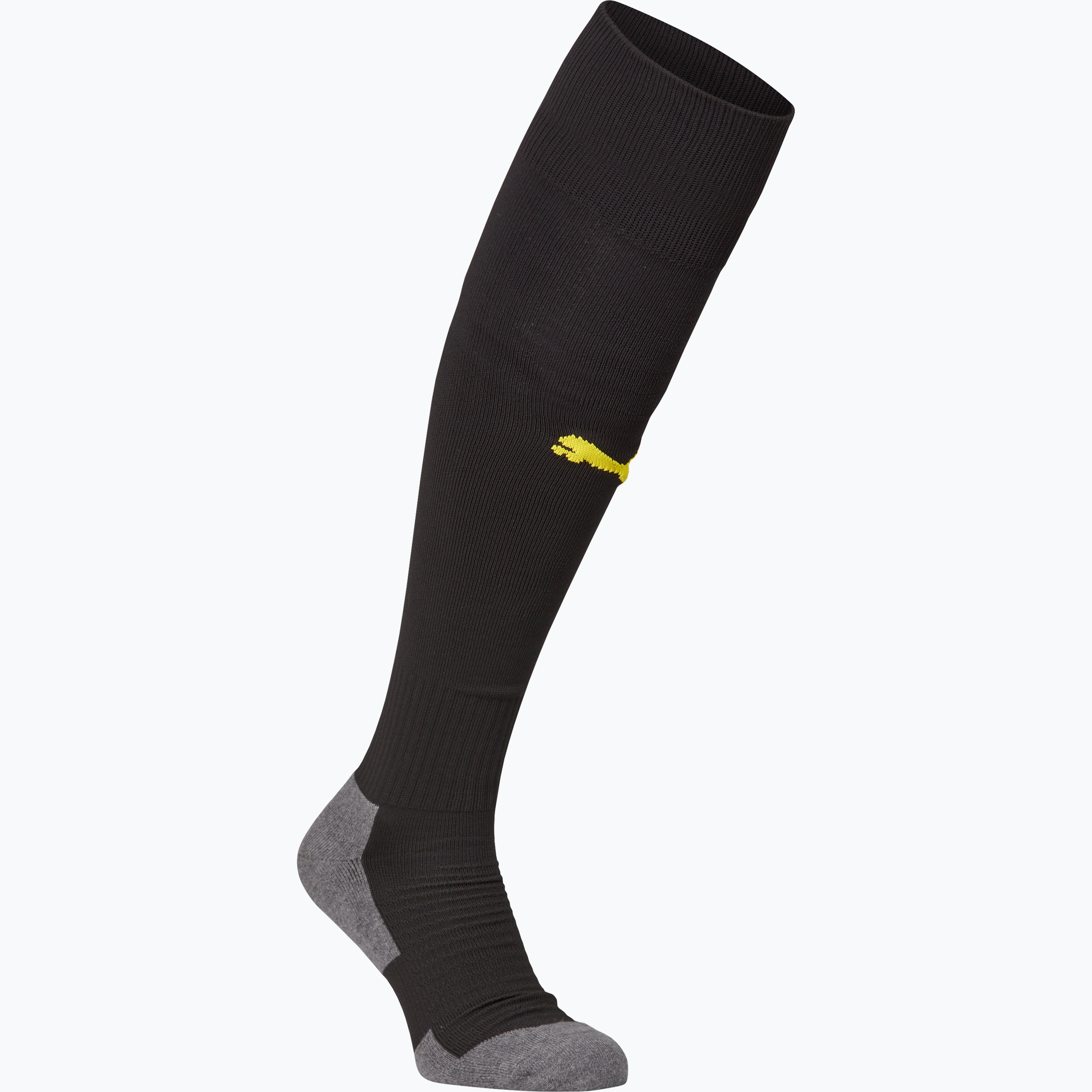 LIGA Socks Core