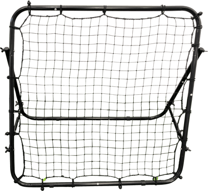 Proline Rebounder 100