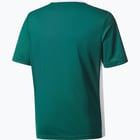 förhandsvisning ikon 2 för adidas Entrada 18 Jersey Jr t-shirt  Grön