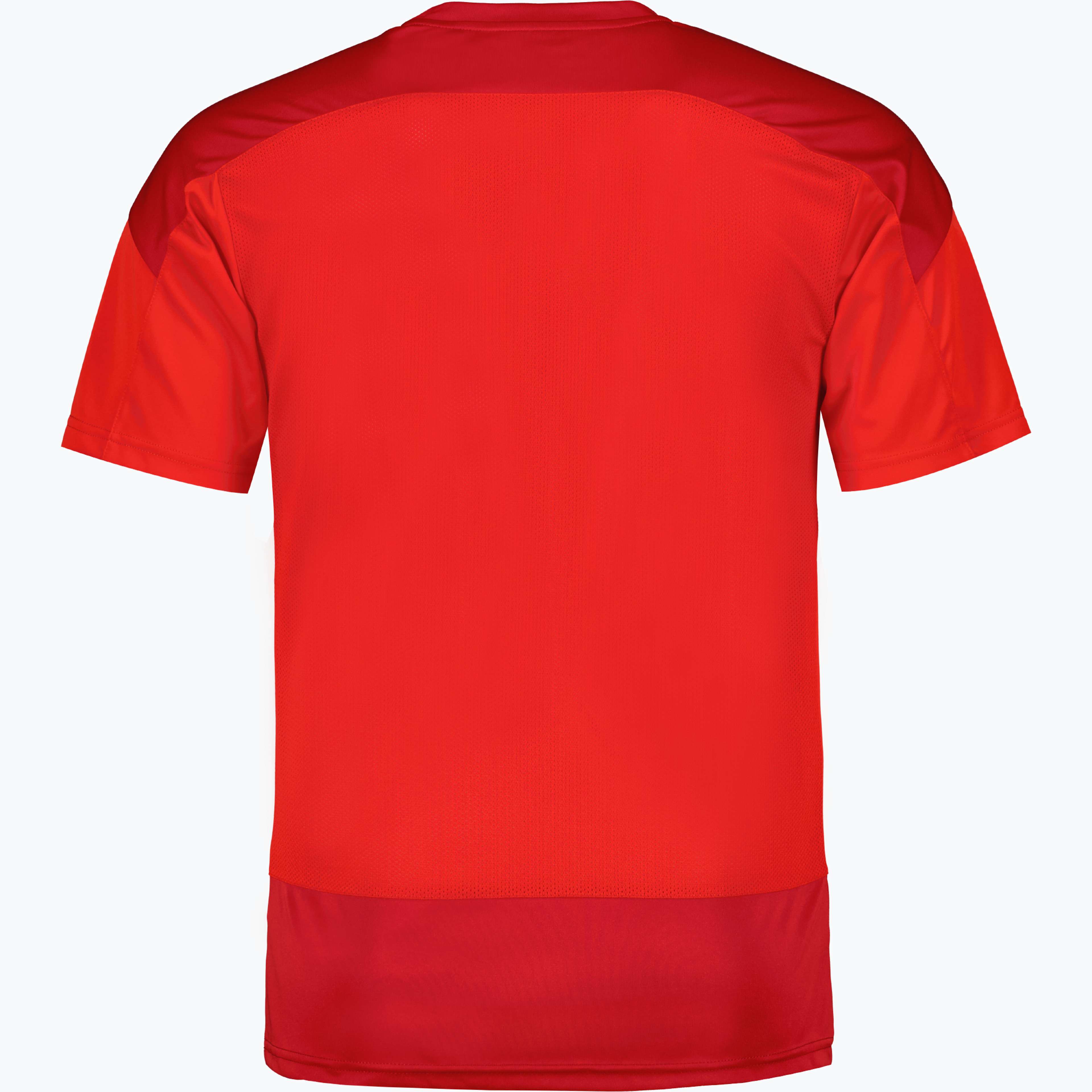teamGOAL 23 Training Jersey
