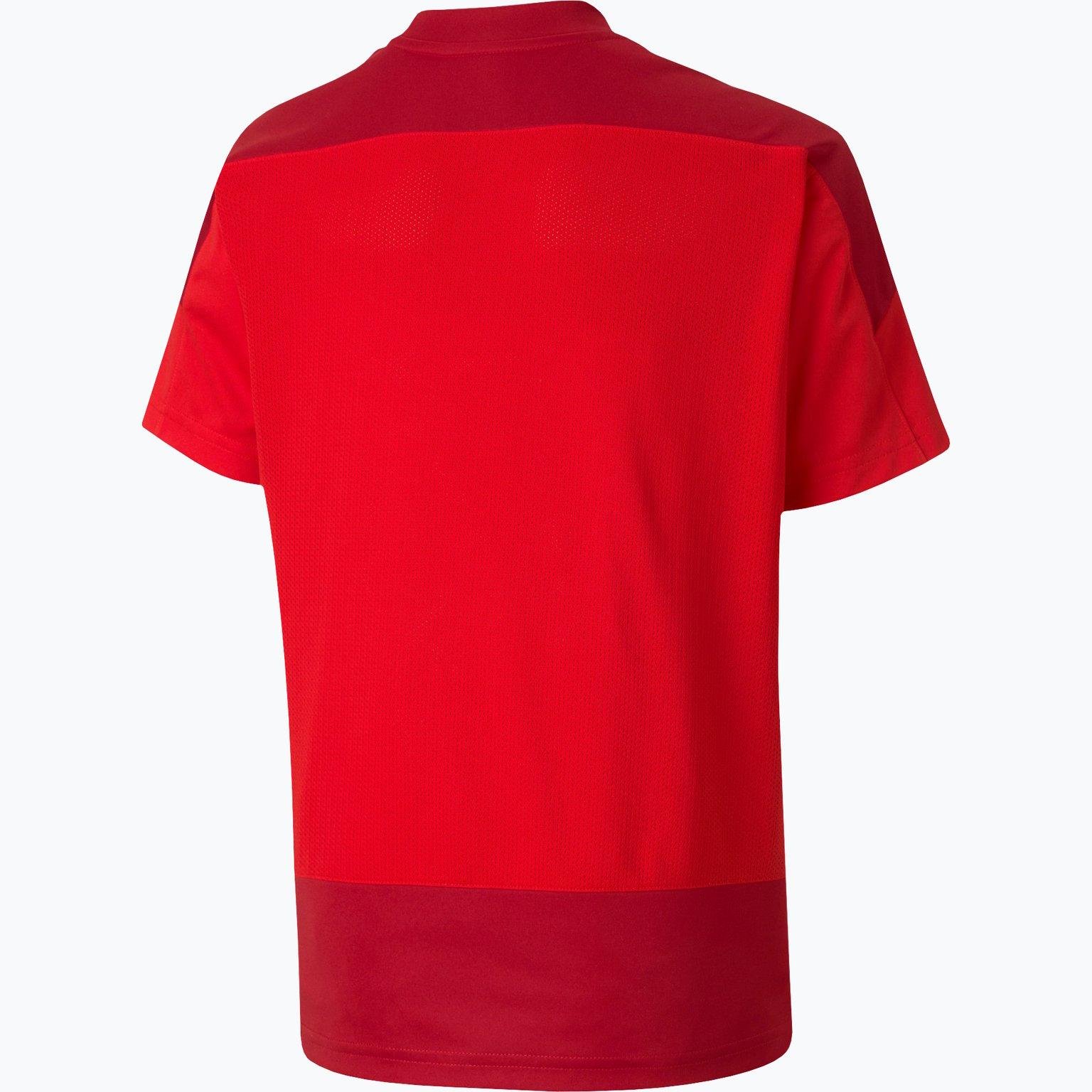 Puma teamGOAL 23 Training Jersey Jr Röd