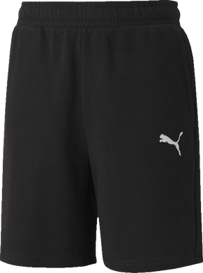 Puma teamGOAL 23 Casuals Shorts