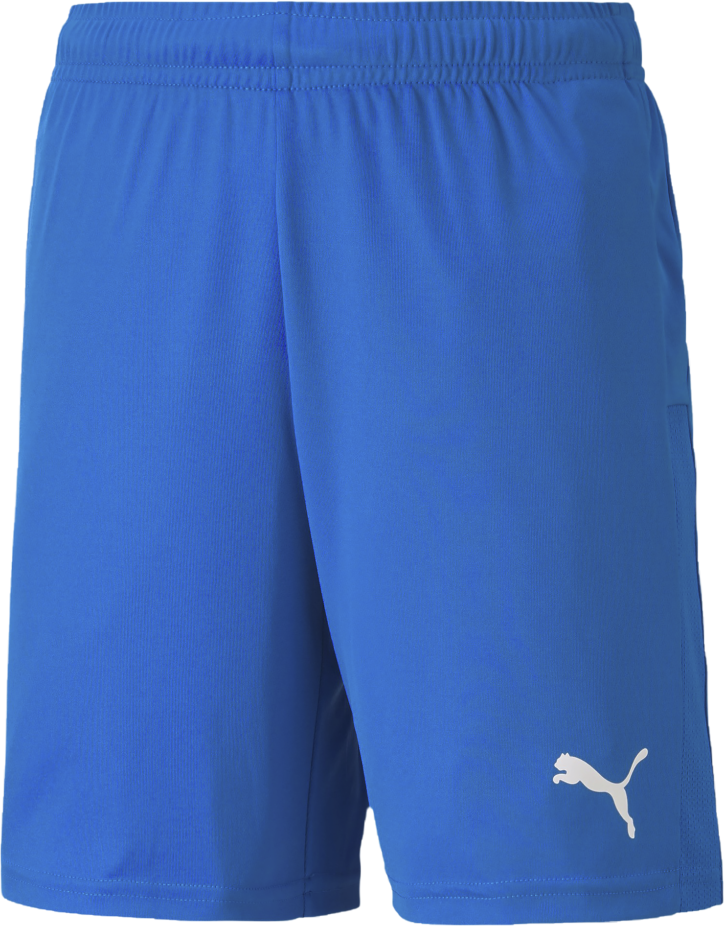 Puma TeamGoal 23 knit shorts Sr