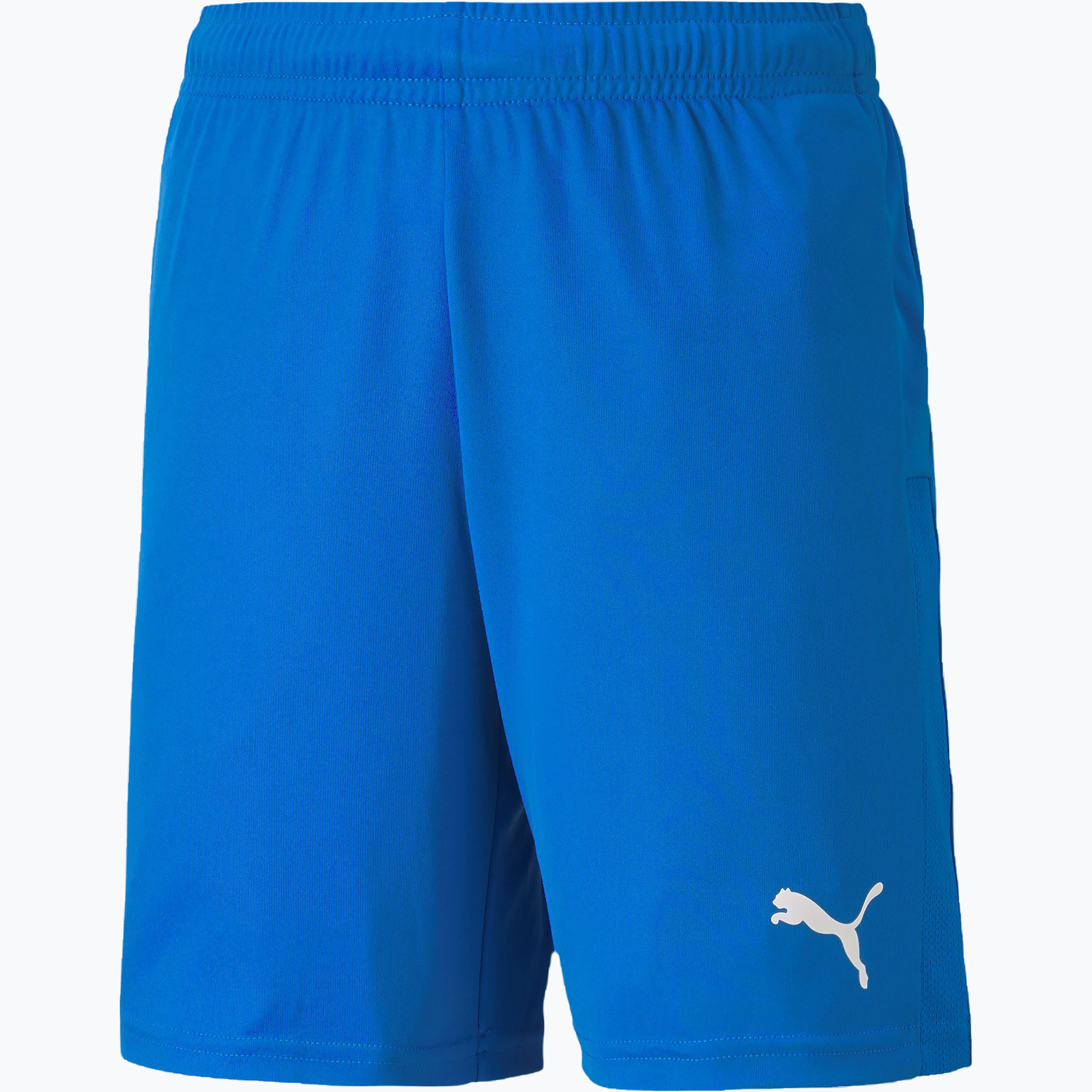 TeamGoal 23 knit shorts Sr