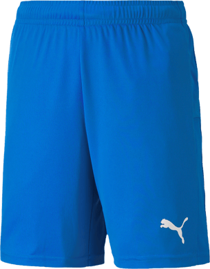 Puma TeamGoal 23 knit shorts Sr