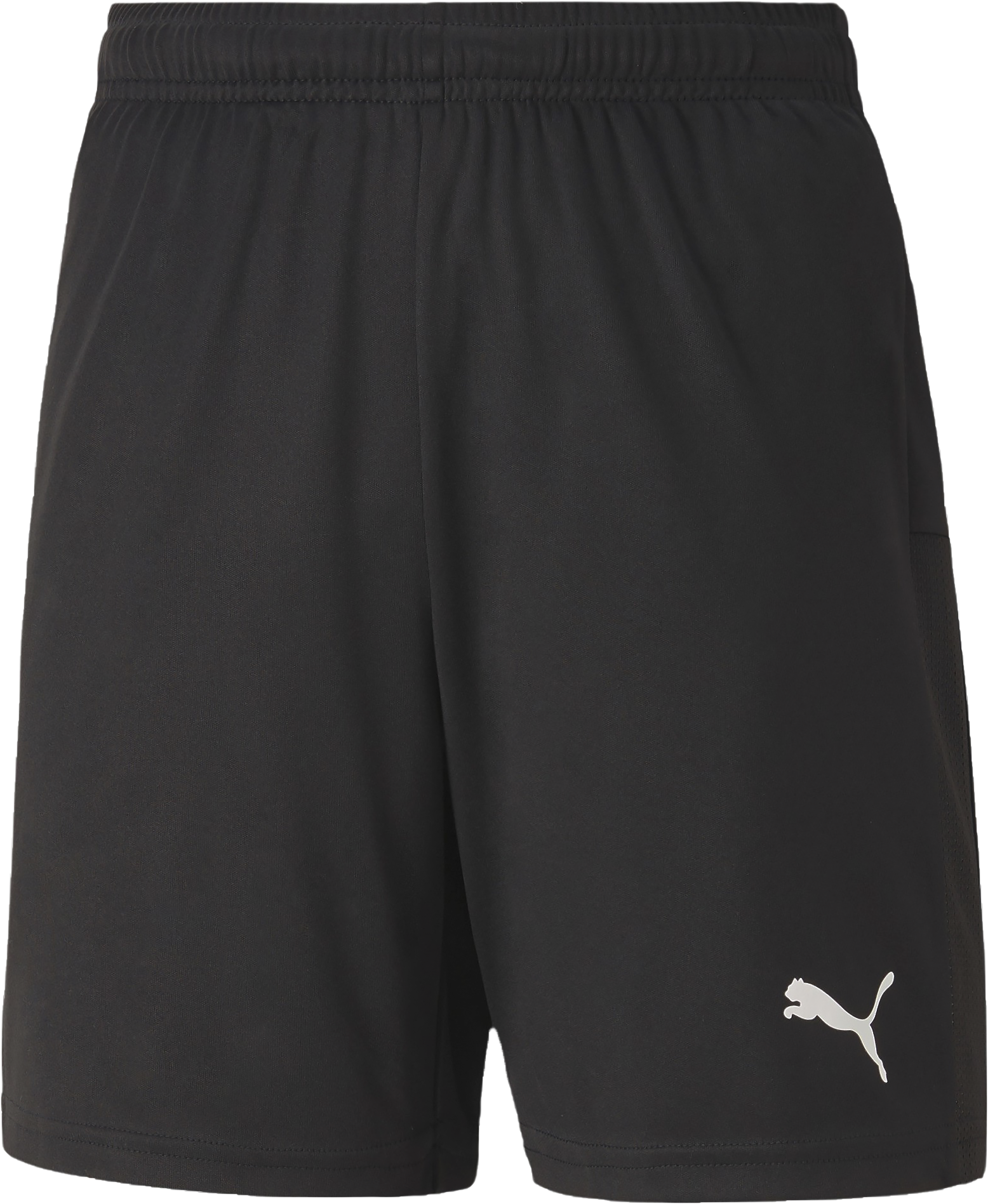 Puma TeamGoal 23 knit shorts Sr