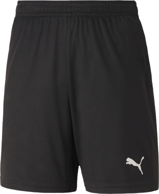 Puma TeamGoal 23 knit shorts Sr