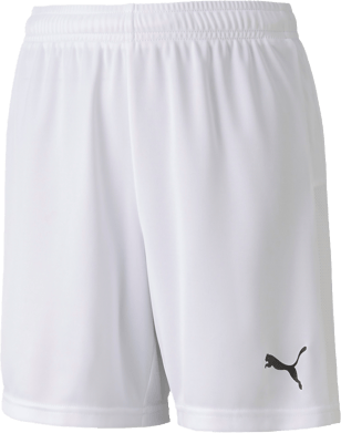 Puma TeamGoal 23 knit shorts Sr