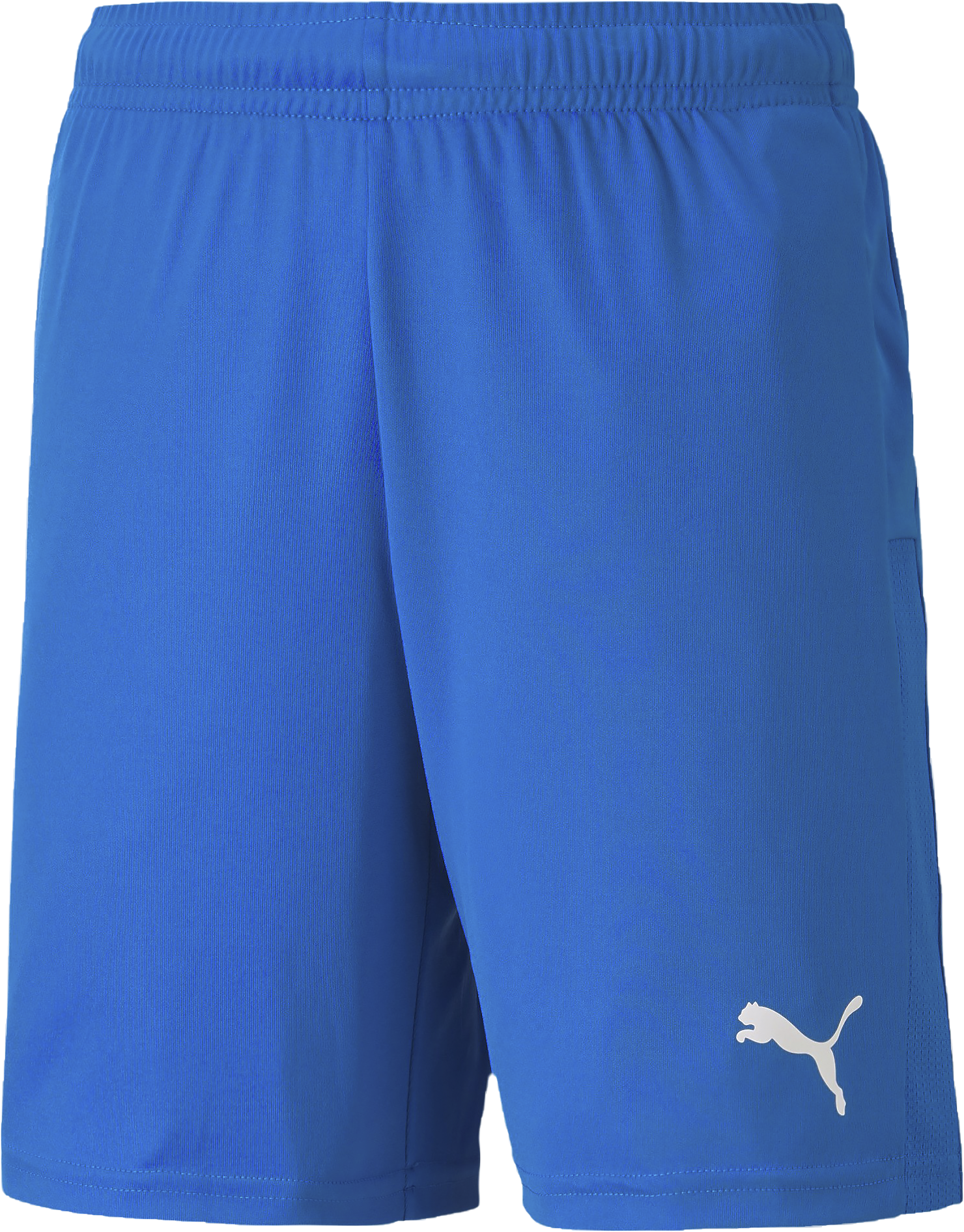 Puma TeamGoal 23 knit shorts Jr