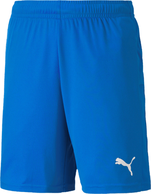 Puma TeamGoal 23 knit shorts Jr