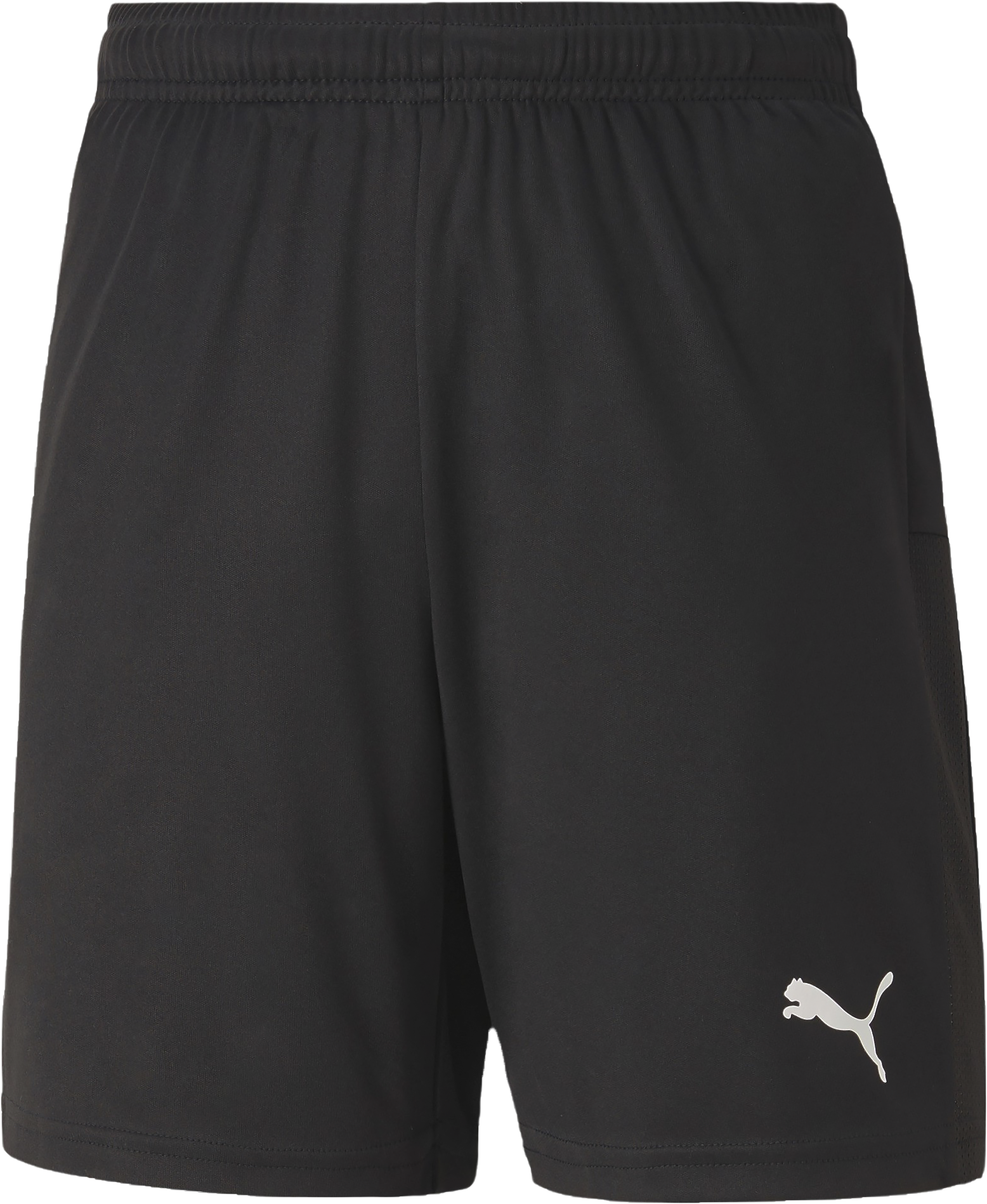 Puma TeamGoal 23 knit shorts Jr