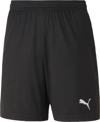 Puma TeamGoal 23 knit shorts Jr