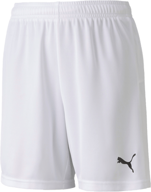 Puma TeamGoal 23 knit shorts Jr