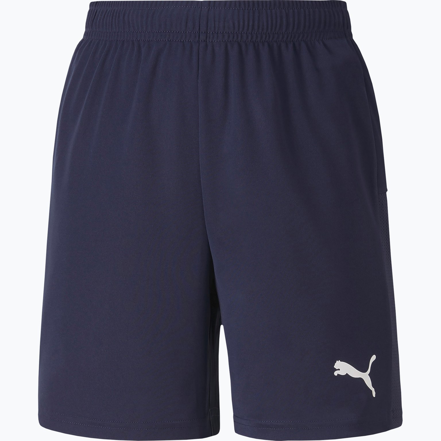 Puma TeamGoal 23 knit shorts Jr Svart