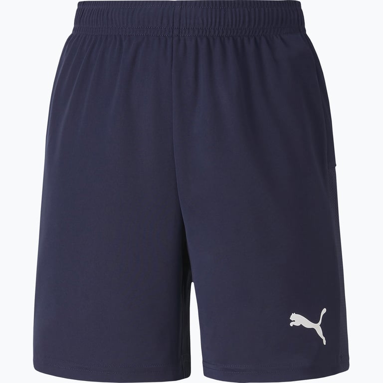 Puma TeamGoal 23 knit shorts Jr Blå