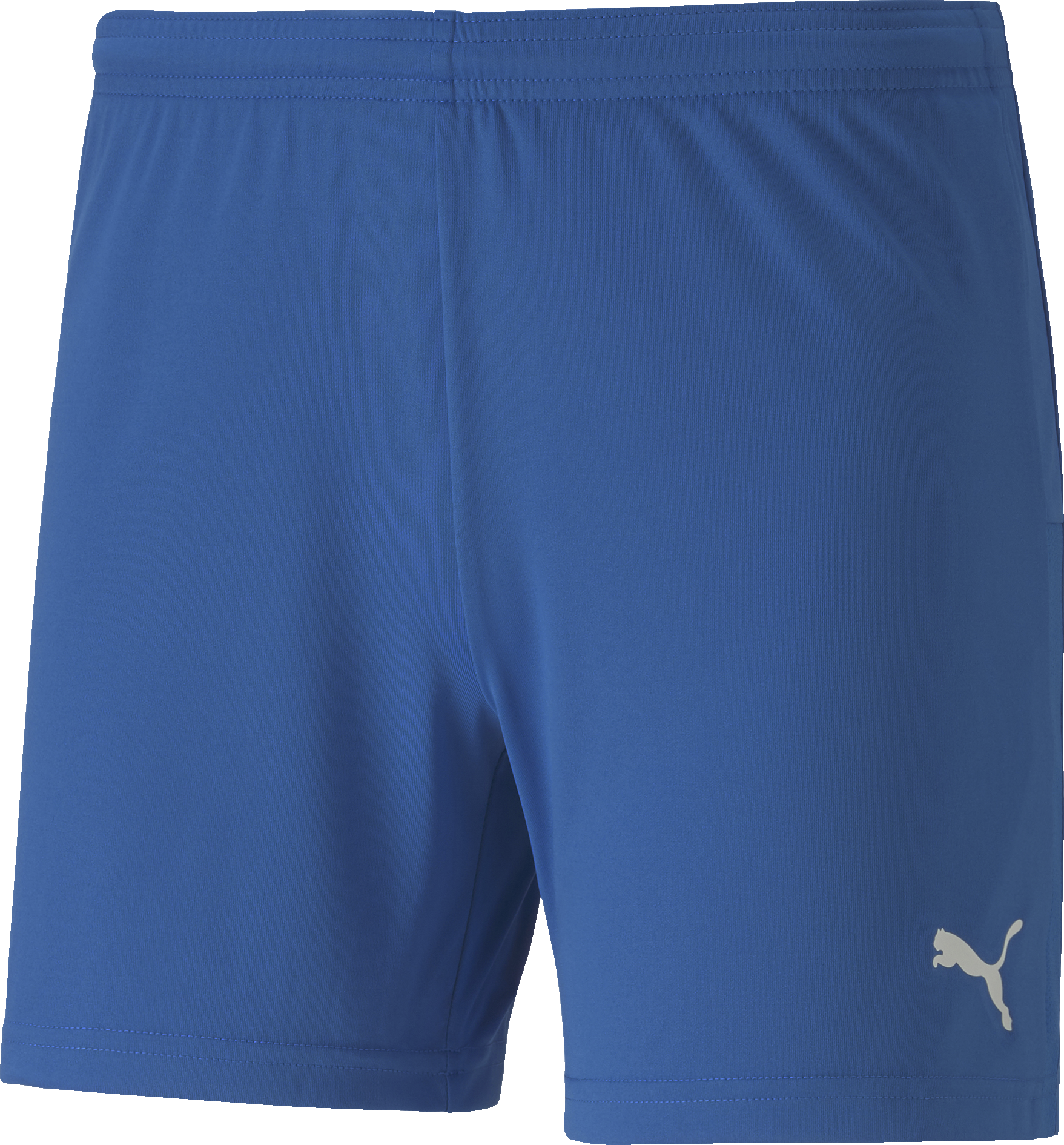 Puma teamGOAL 23 knit Shorts  W