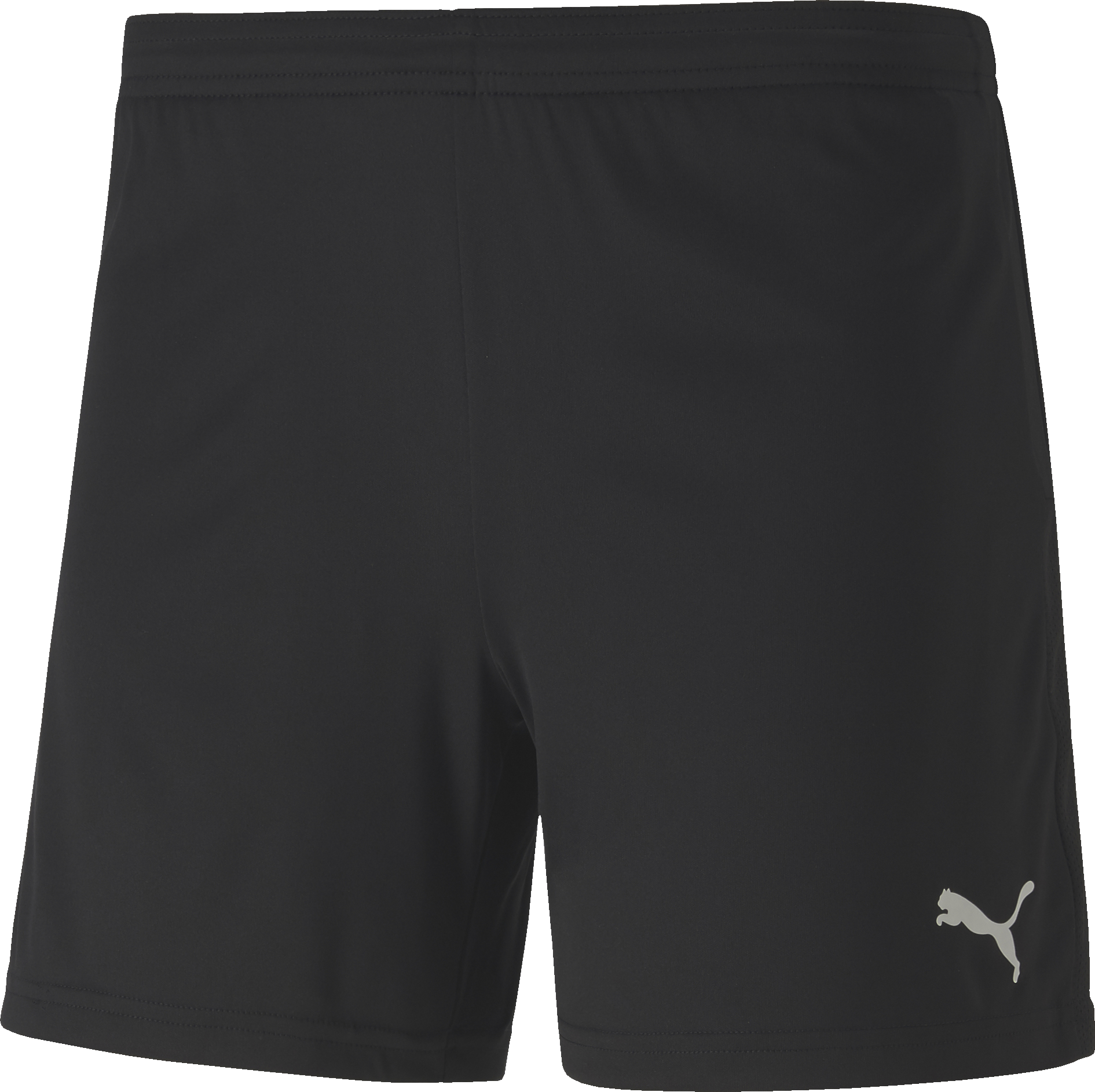 Puma teamGOAL 23 knit Shorts  W