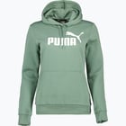 färgalternativ för Grön Puma Essentials Big Logo W huvtröja