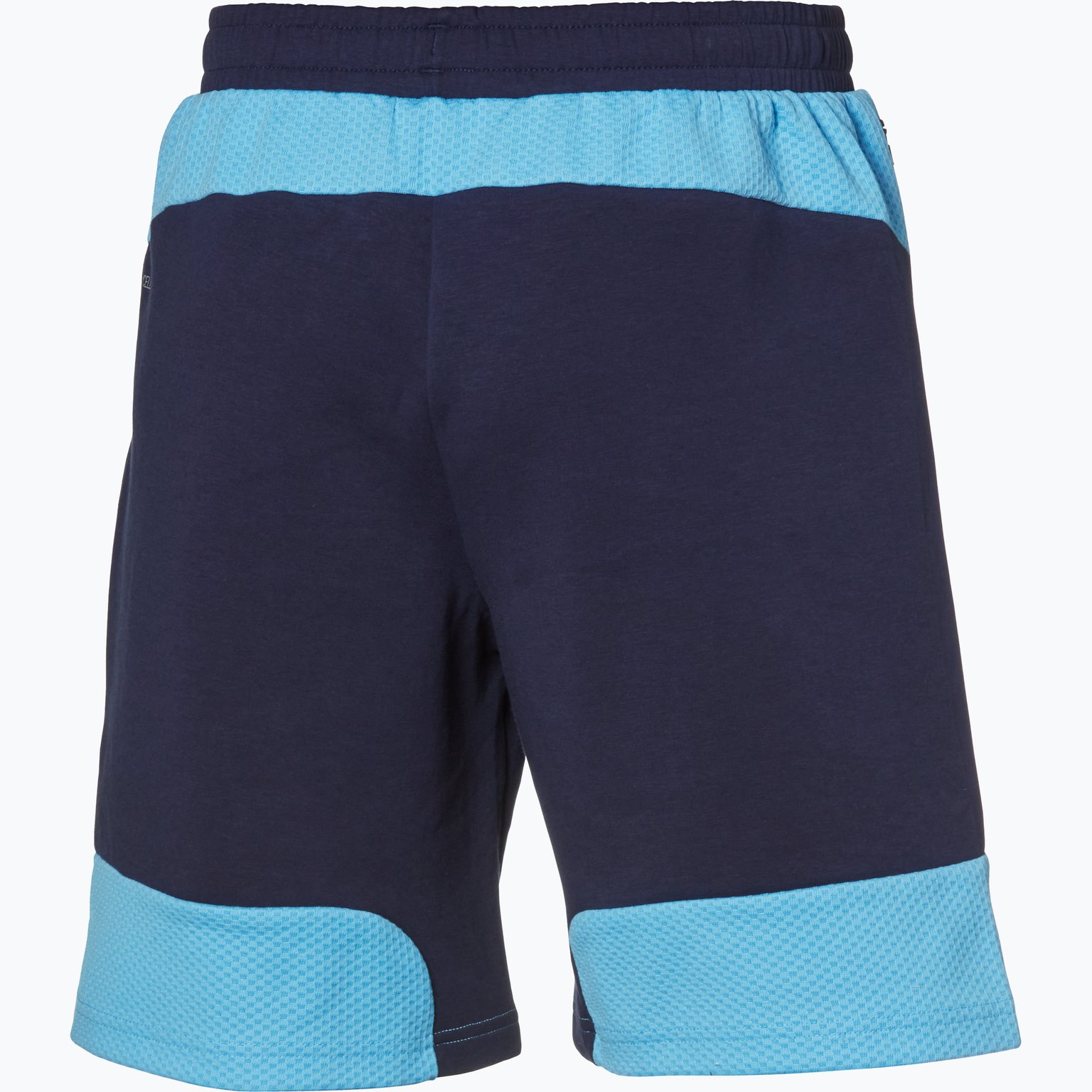 Puma Manchester City FC Evostripe träningsshorts Blå