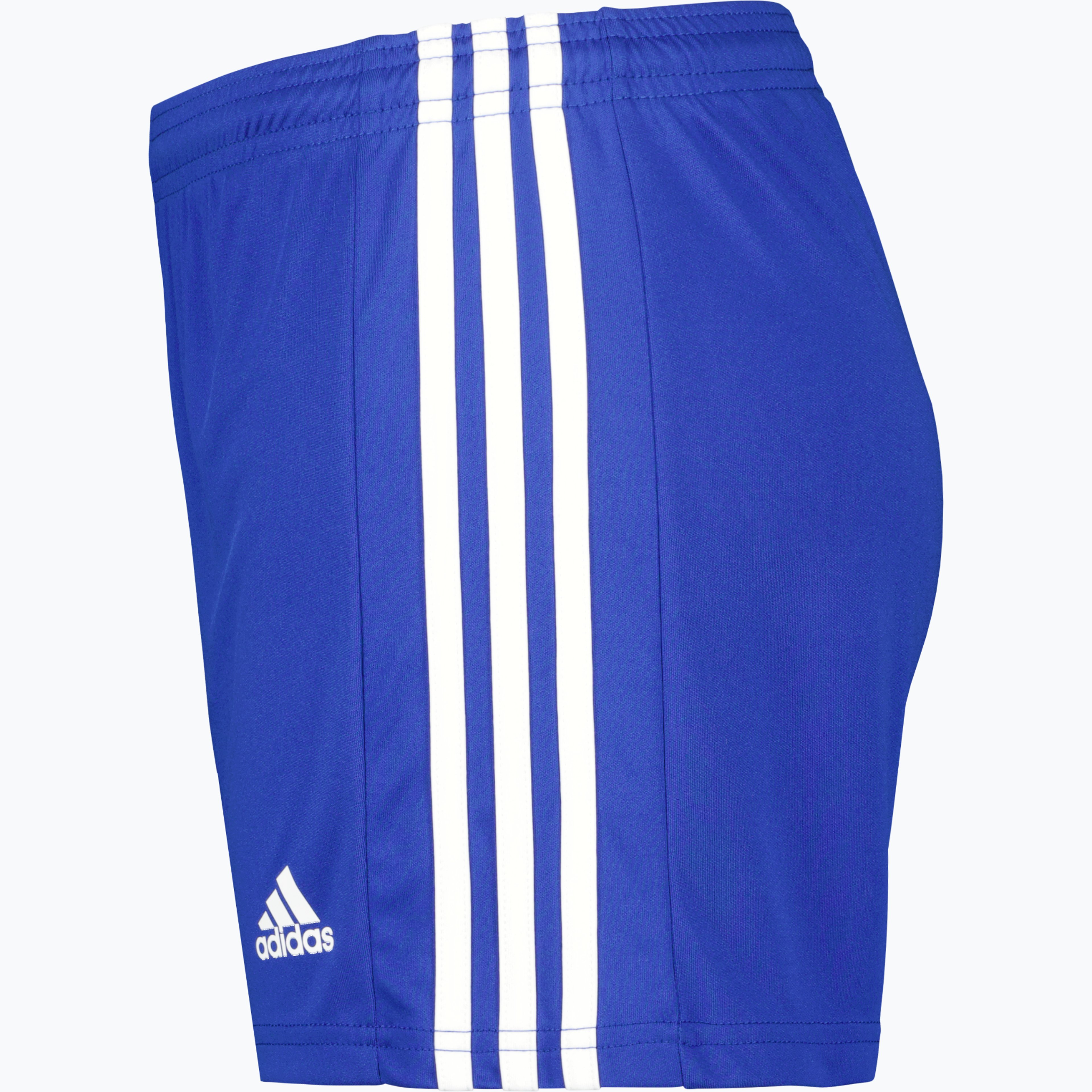 Squadra 21 W shorts 