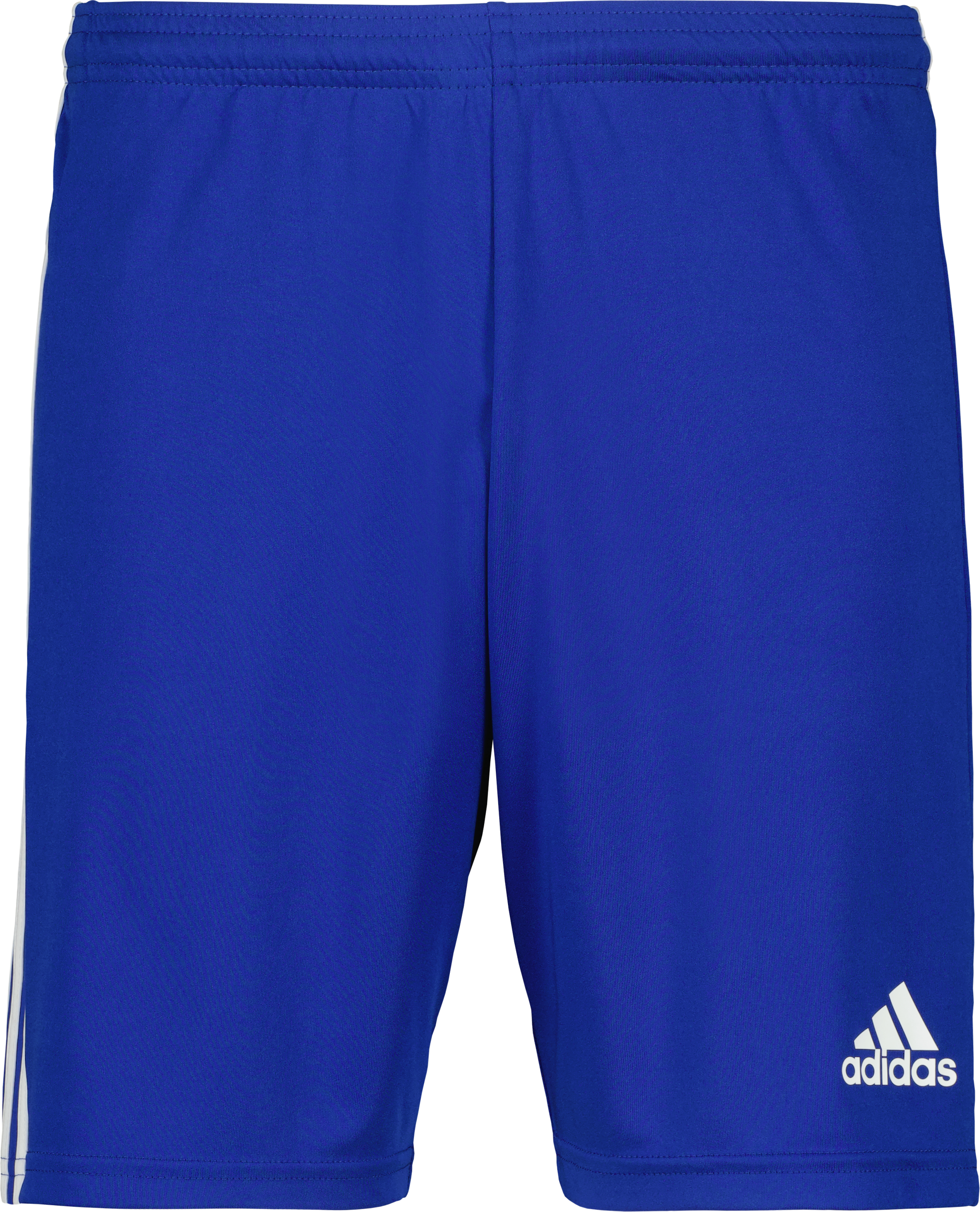 adidas Squadra 21 Shorts