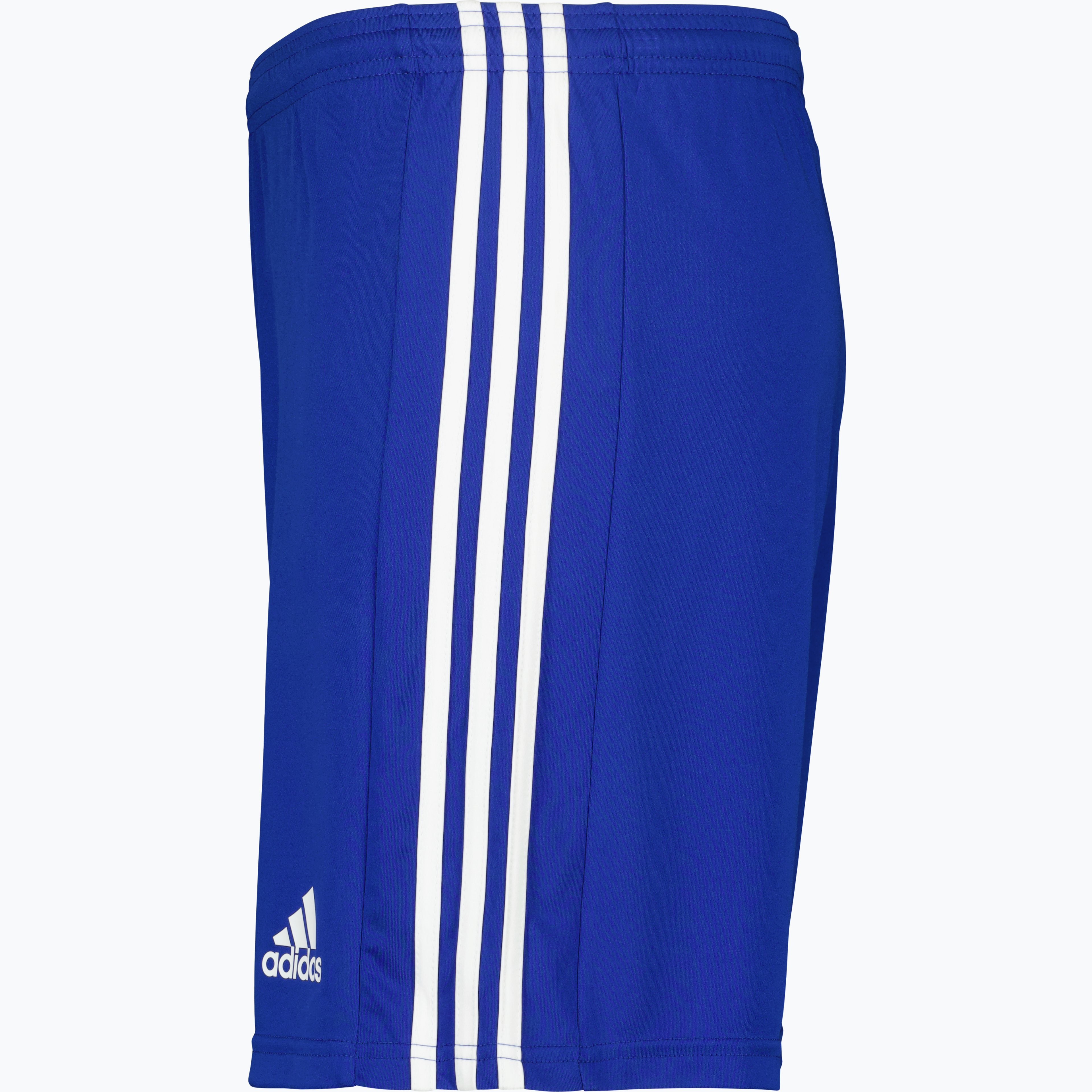 Squadra 21 Jr Shorts