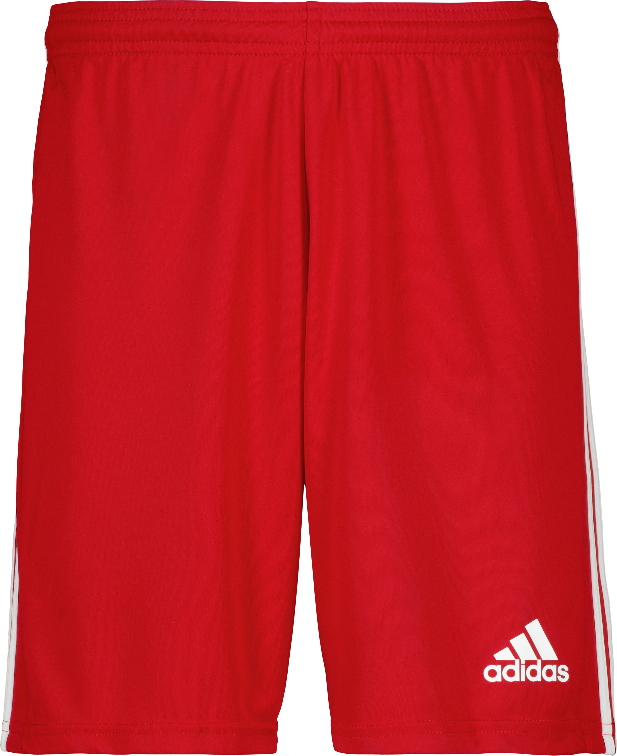 adidas Squadra 21 Jr Shorts