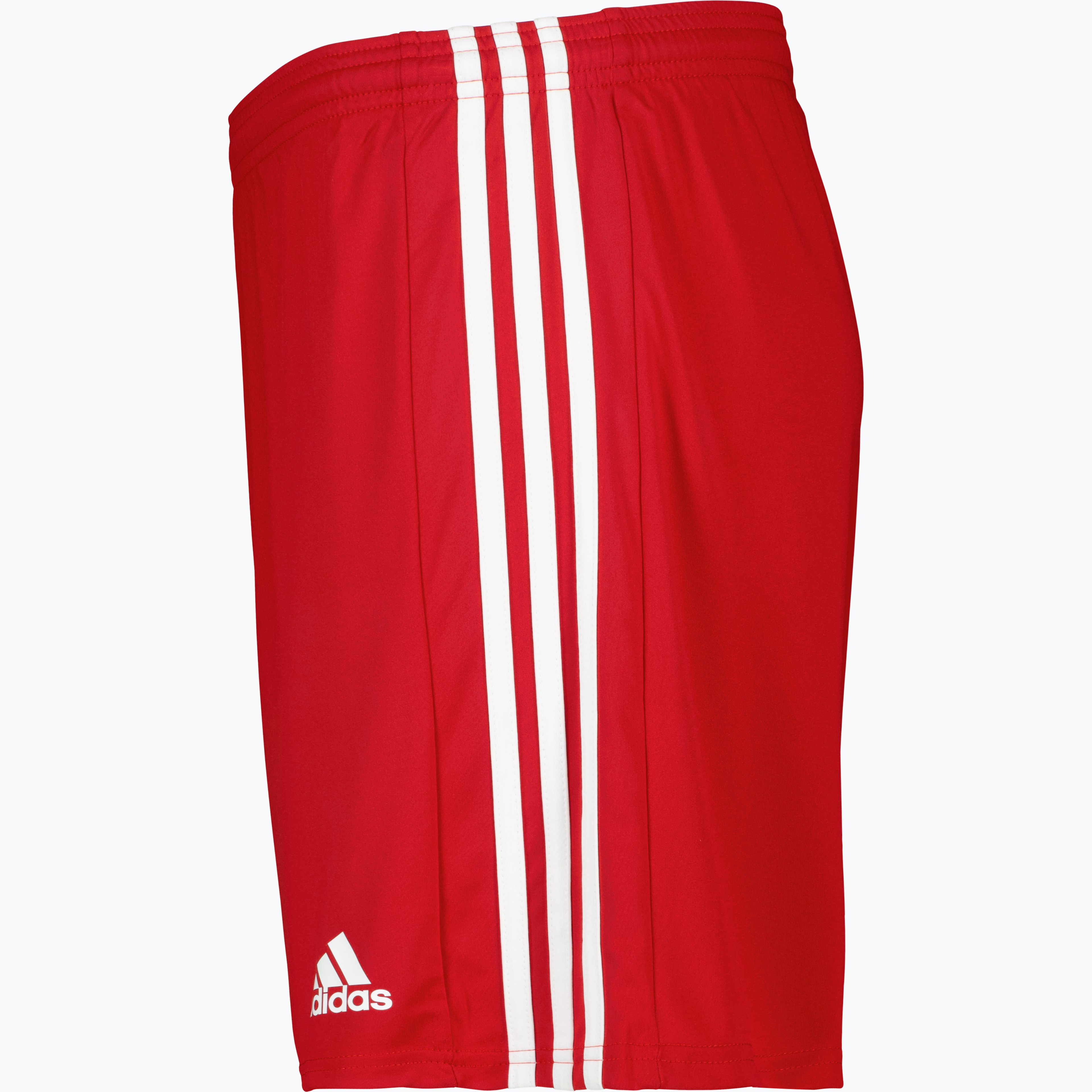 Squadra 21 Jr Shorts