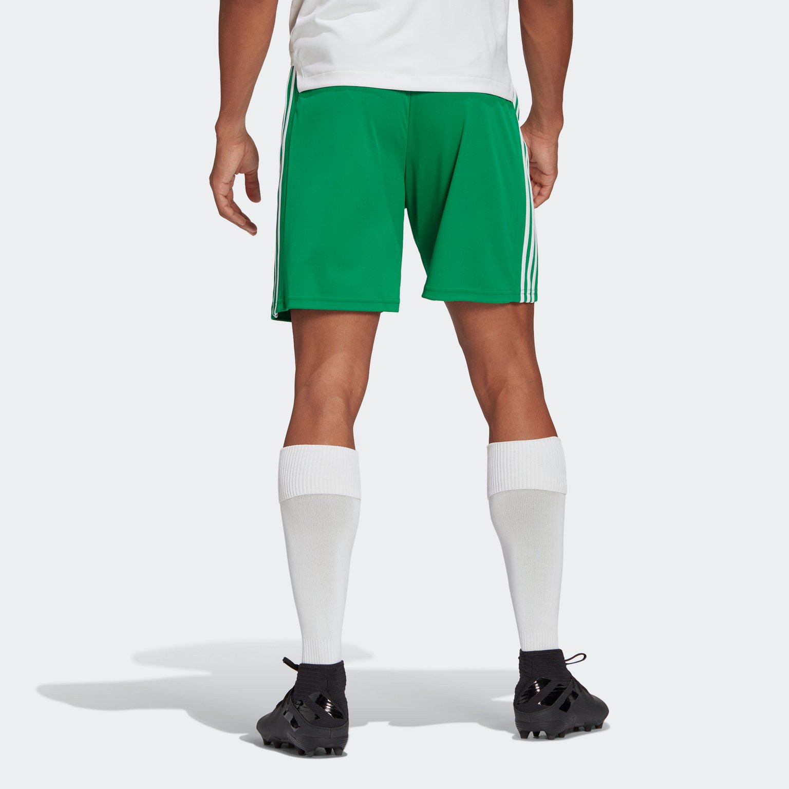 adidas Squadra 21 Shorts Grön