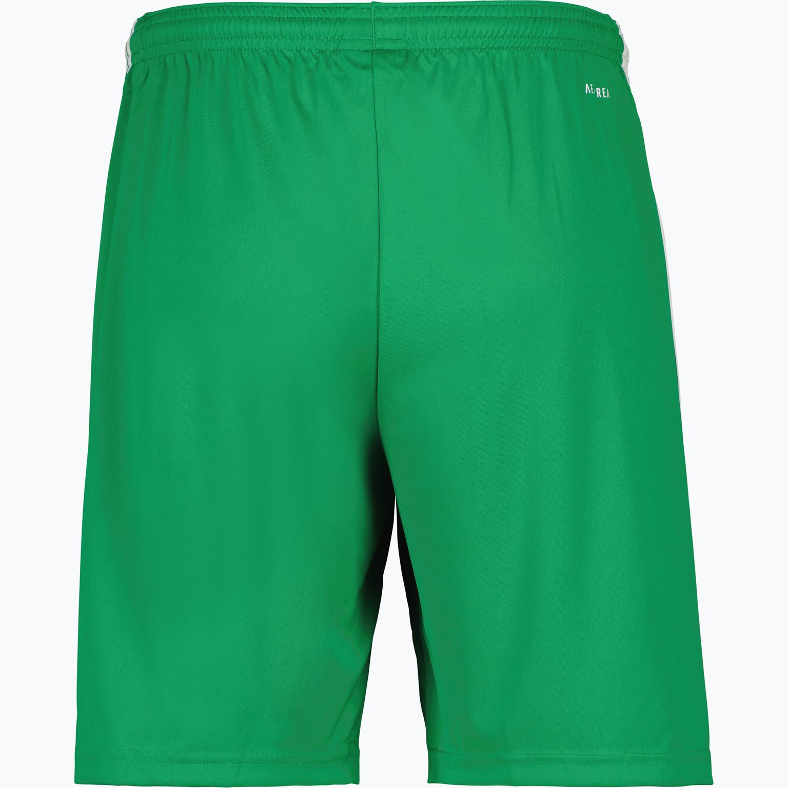 adidas Squadra 21 Shorts Grön