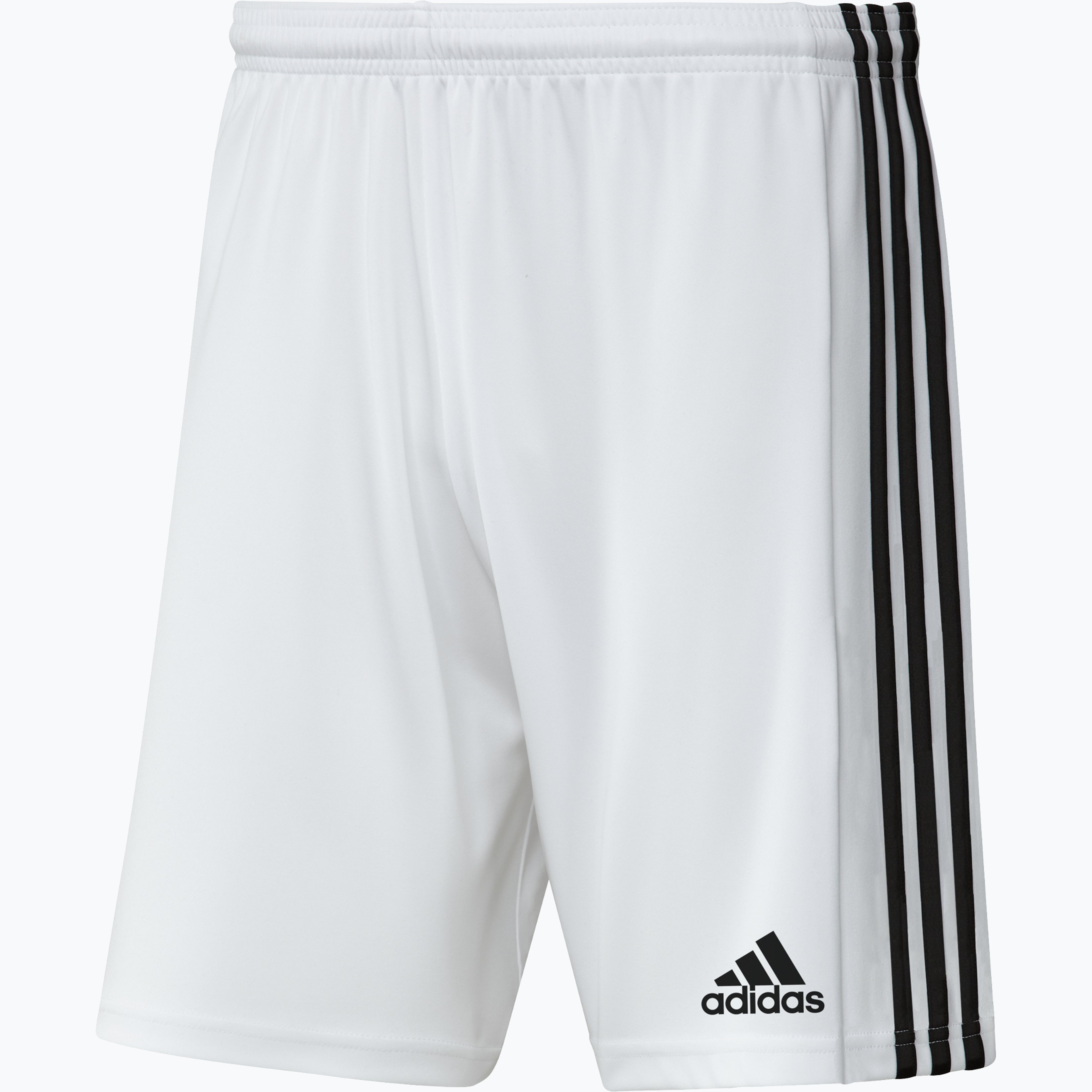 Squadra 21 Shorts