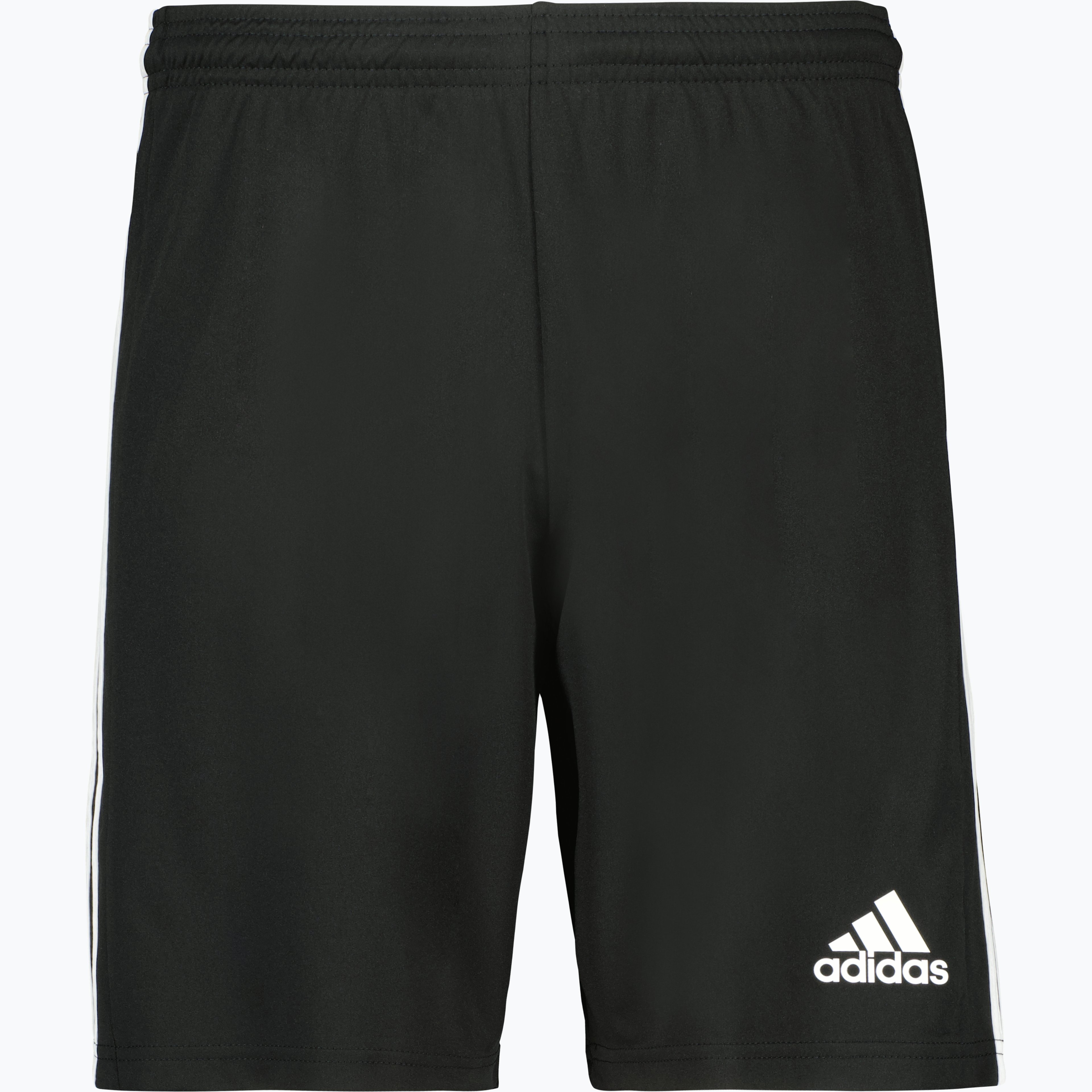 Squadra 21 Shorts