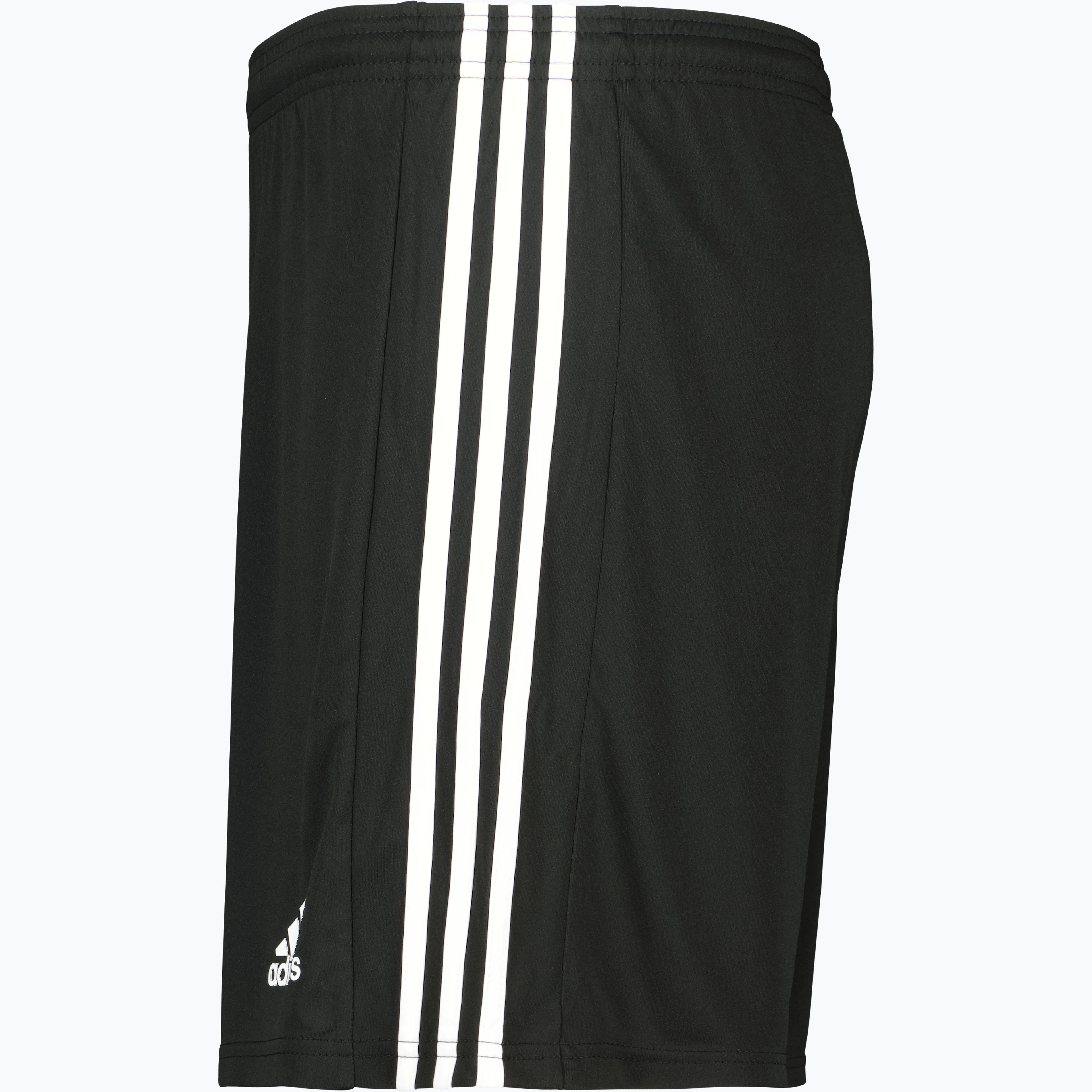 Squadra 21 Shorts