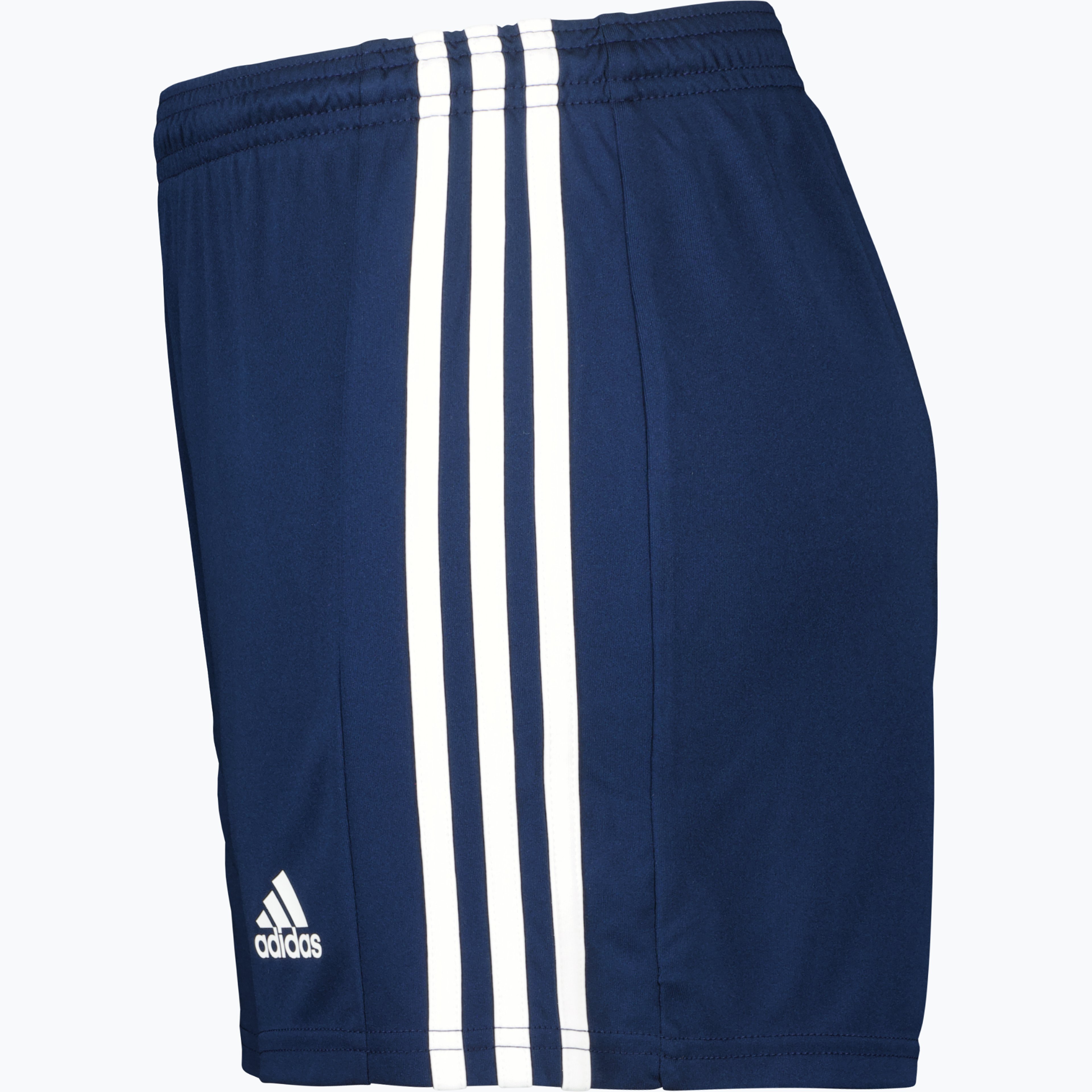 Squadra 21 W shorts 