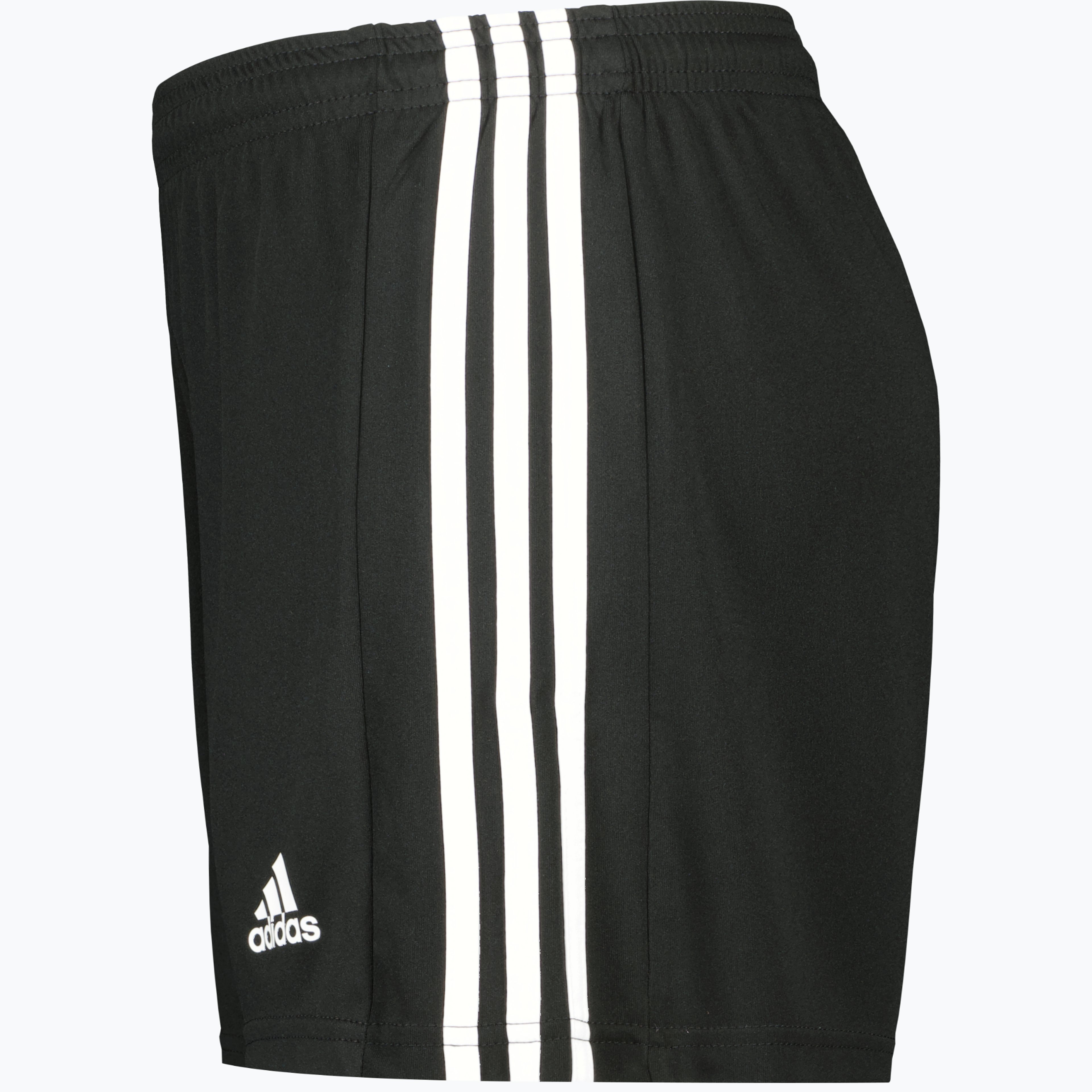 Squadra 21 W shorts 