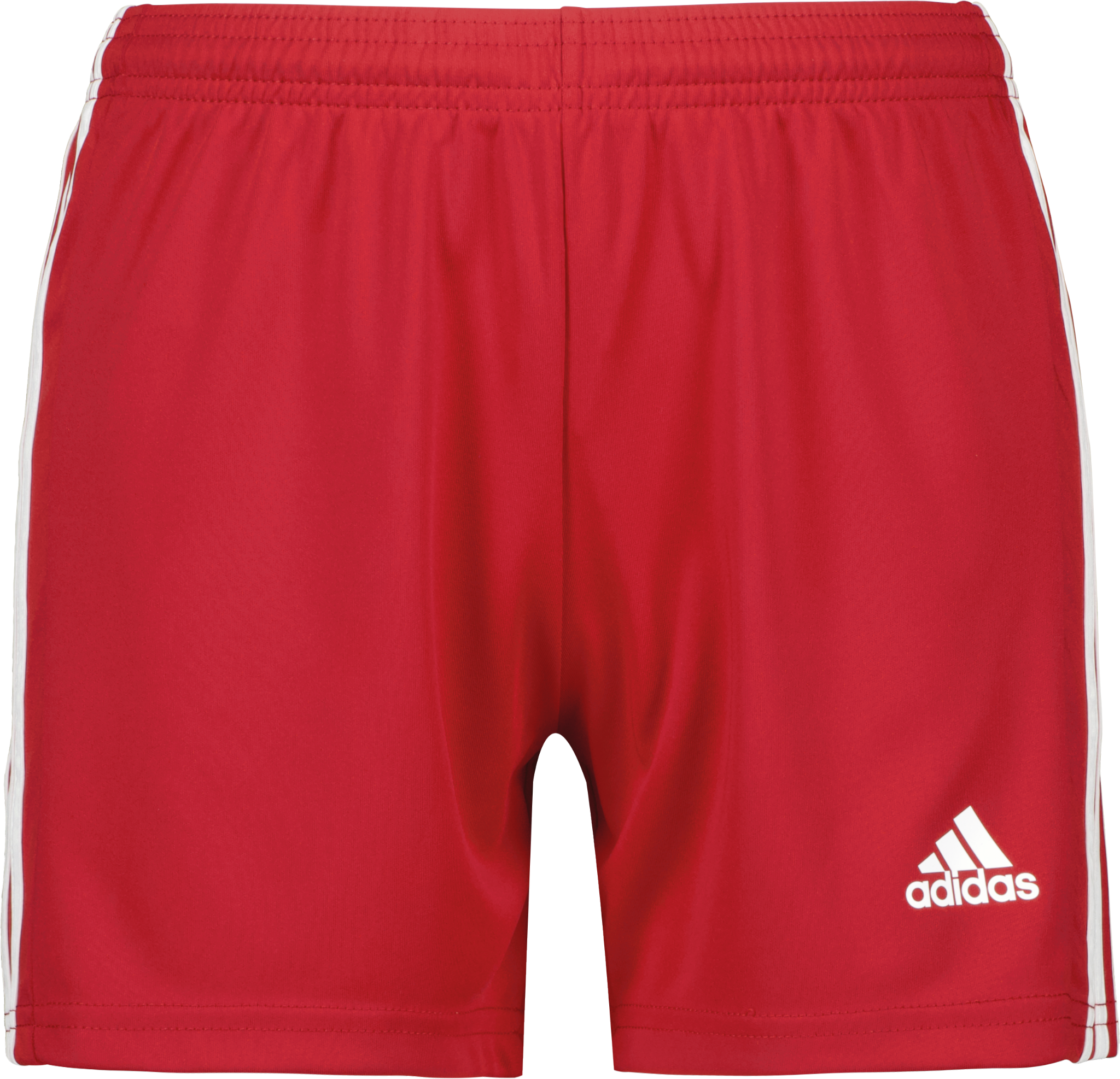 adidas Squadra 21 W shorts 