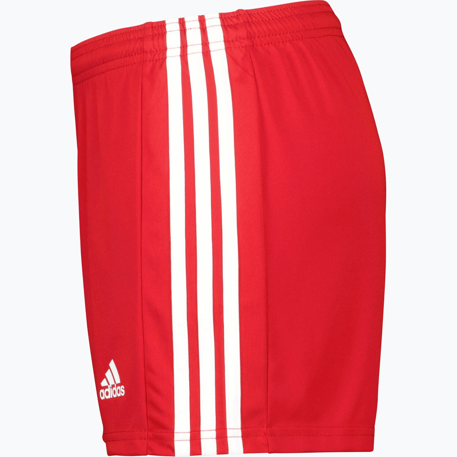 adidas Squadra 21 W shorts  Röd