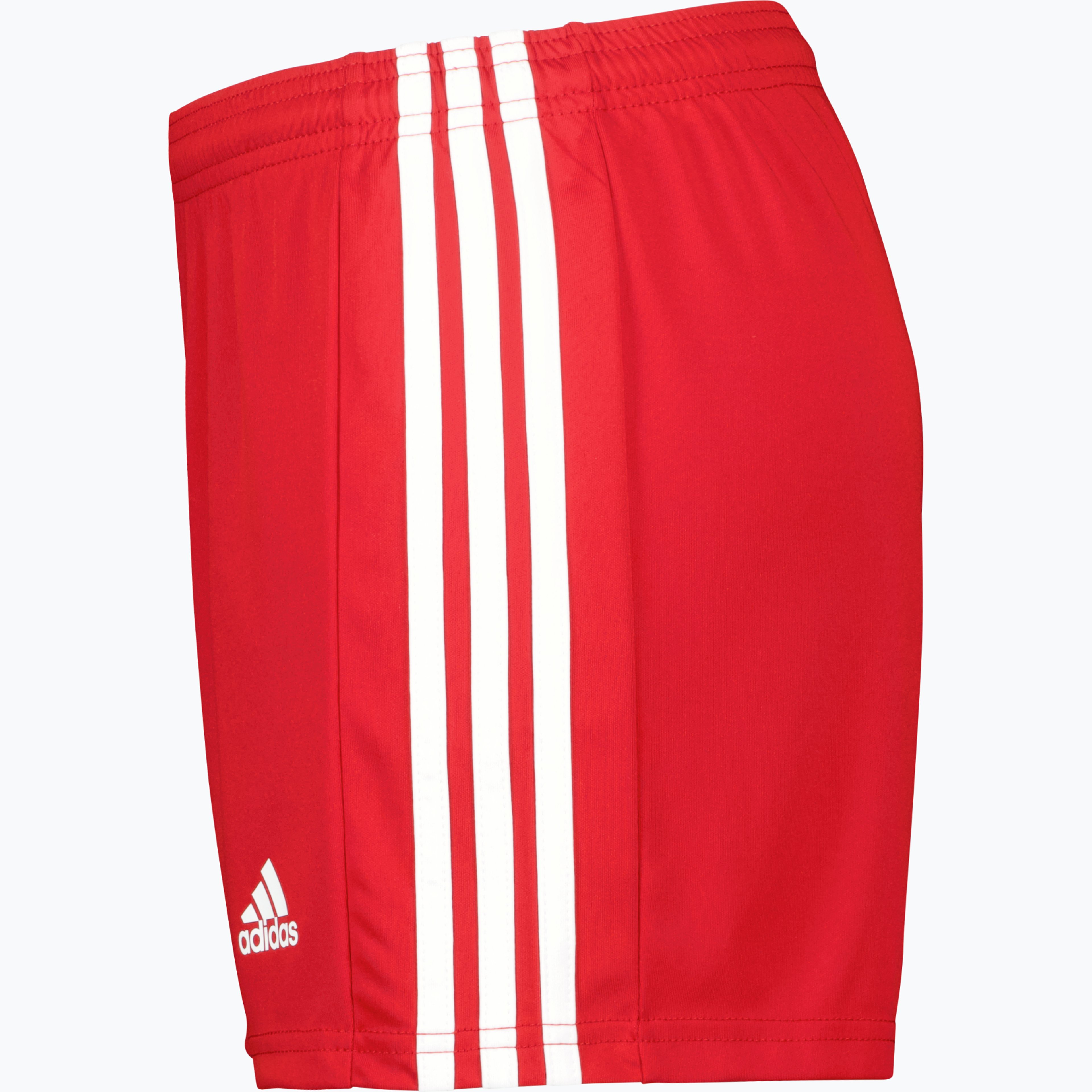 Squadra 21 W shorts 