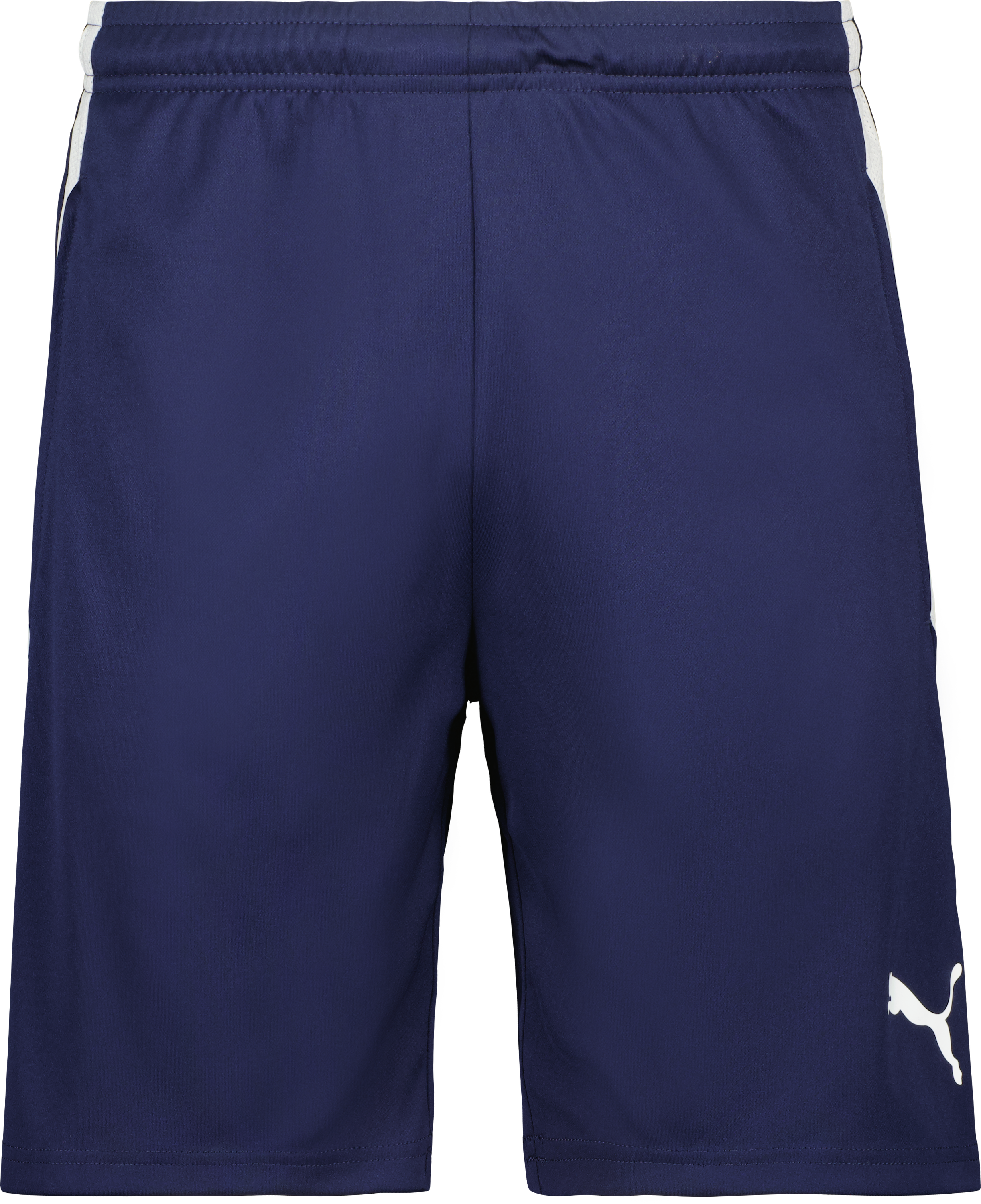 Puma TeamLIGA träningsshorts