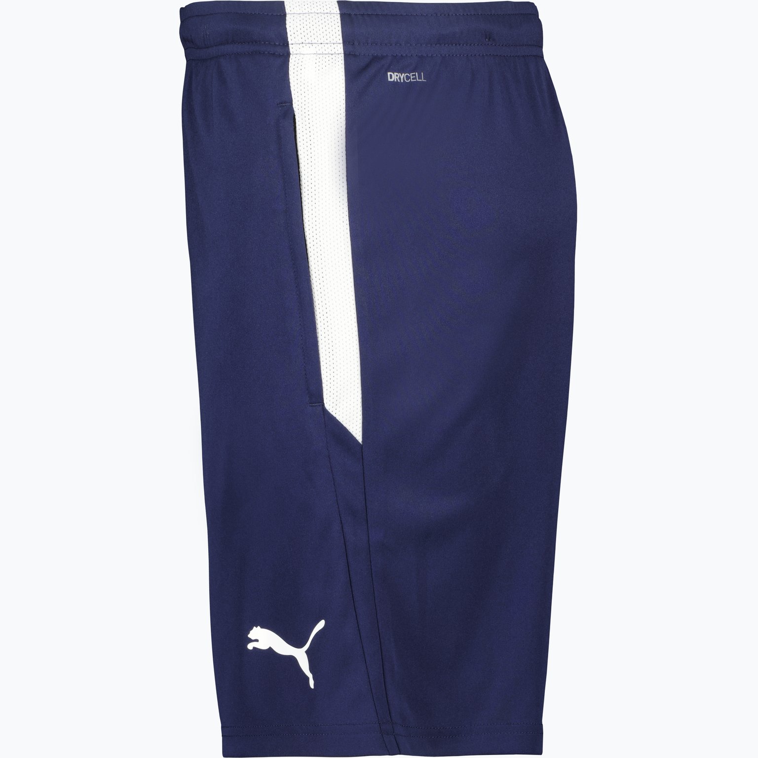 Puma TeamLIGA träningsshorts Blå