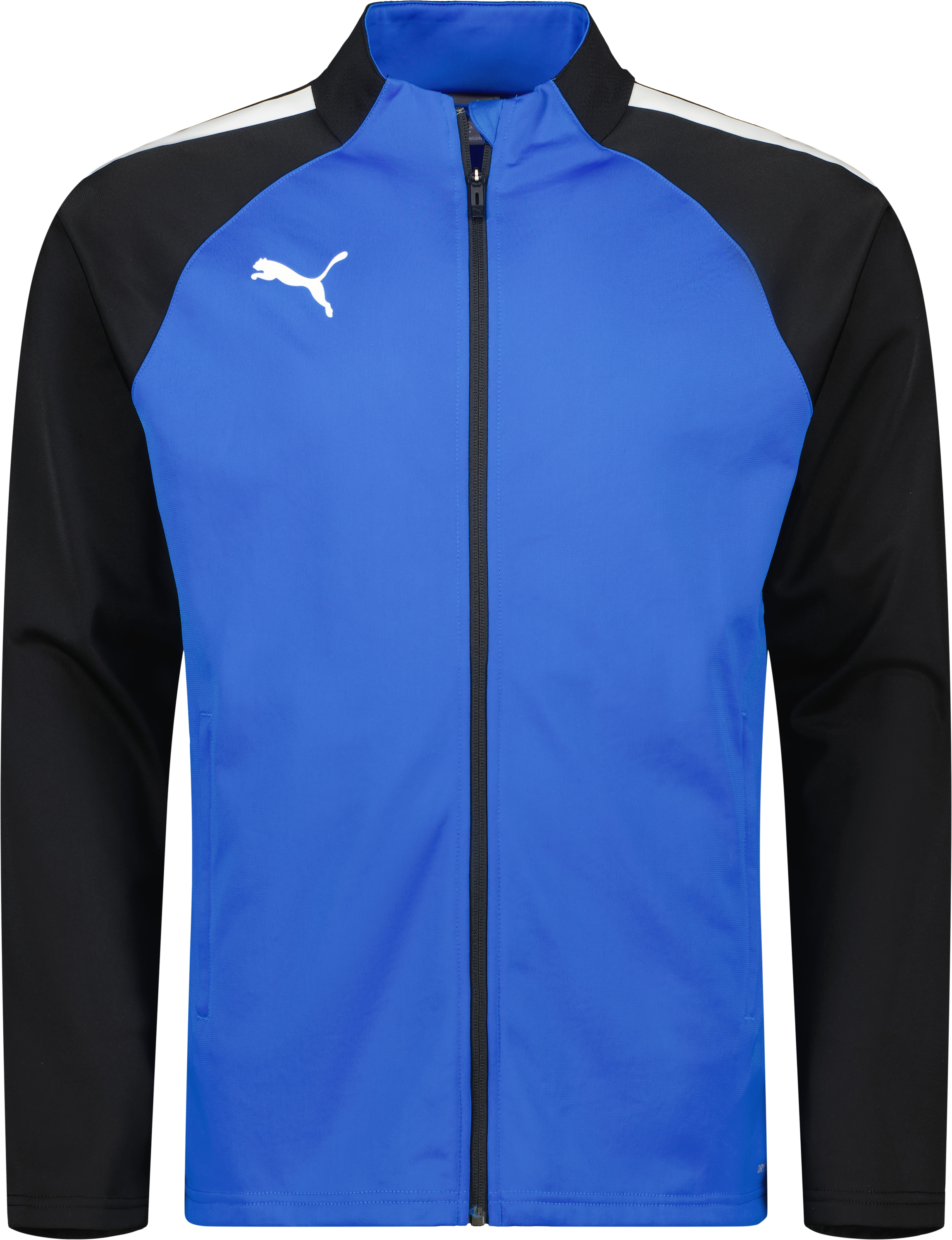 Puma teamLiga Training Jacket