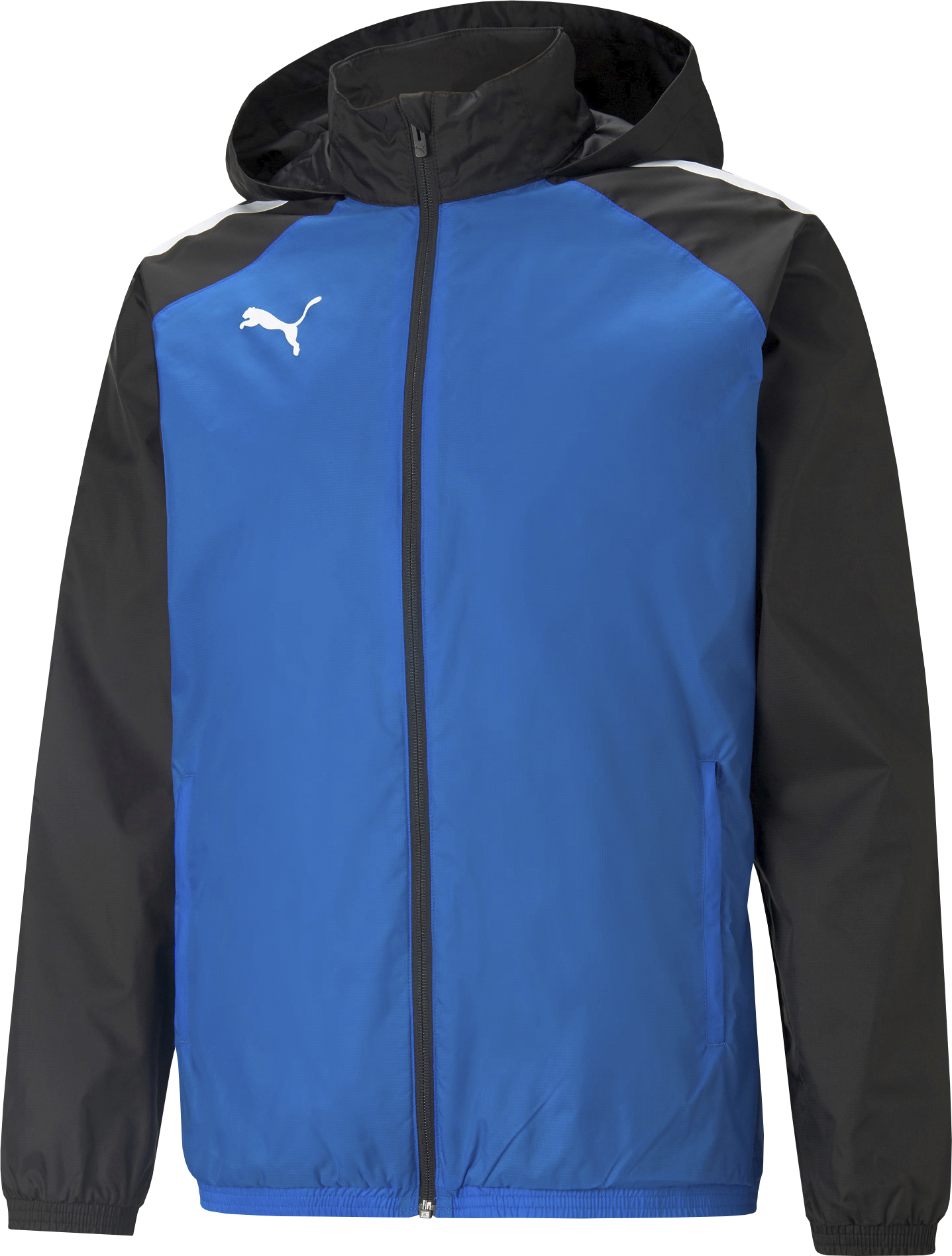 Puma teamLIGA All Weather Sr Jacket