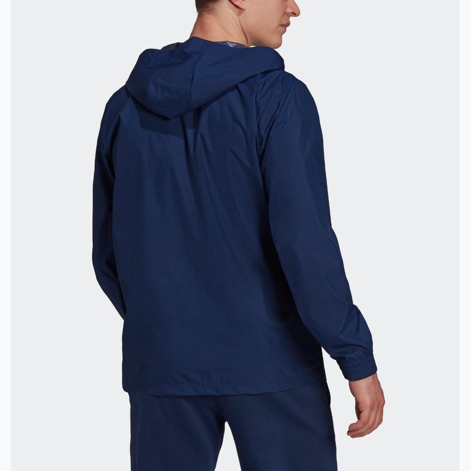 adidas Entrada22 AW Jacka Blå