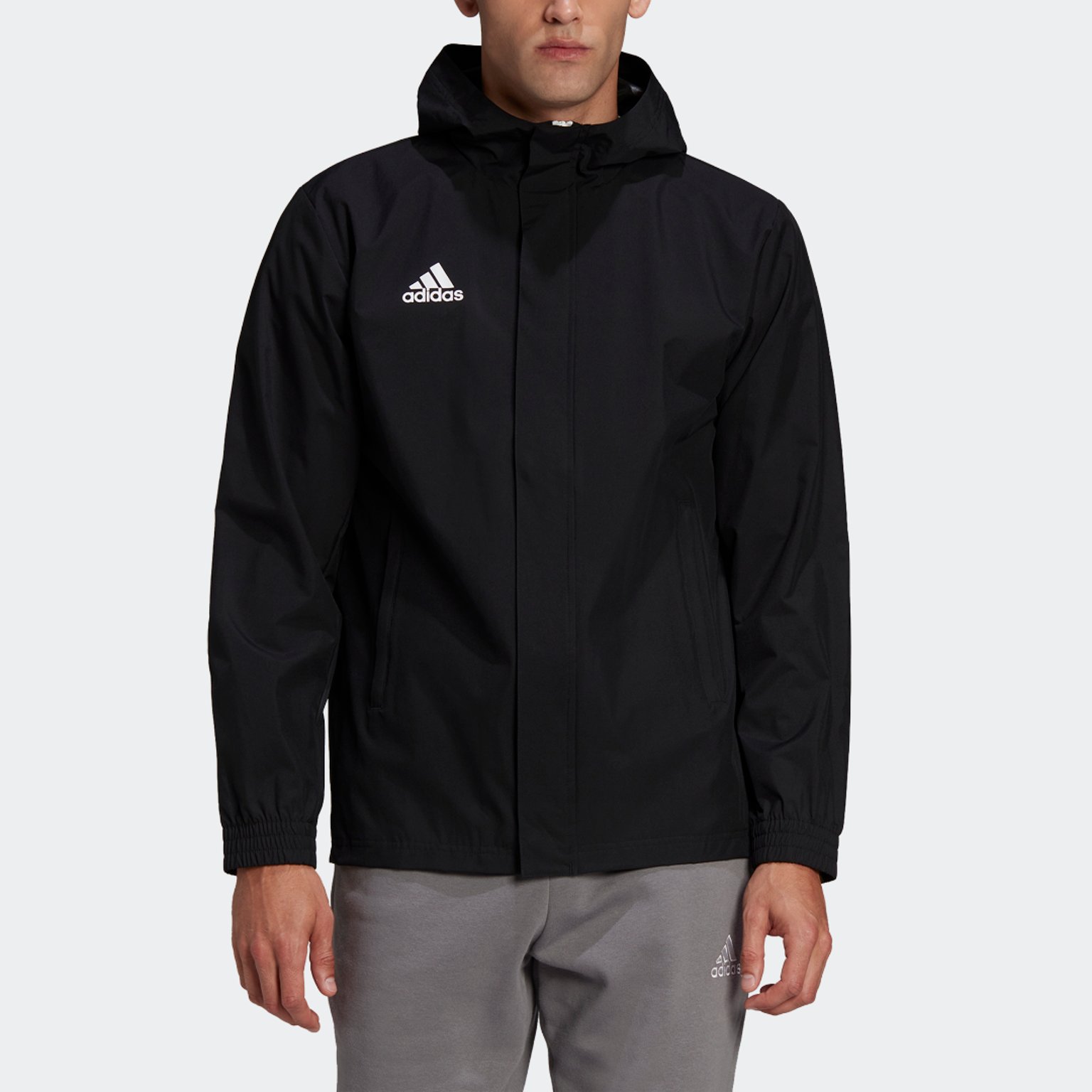 adidas Entrada22 AW Jacka Svart